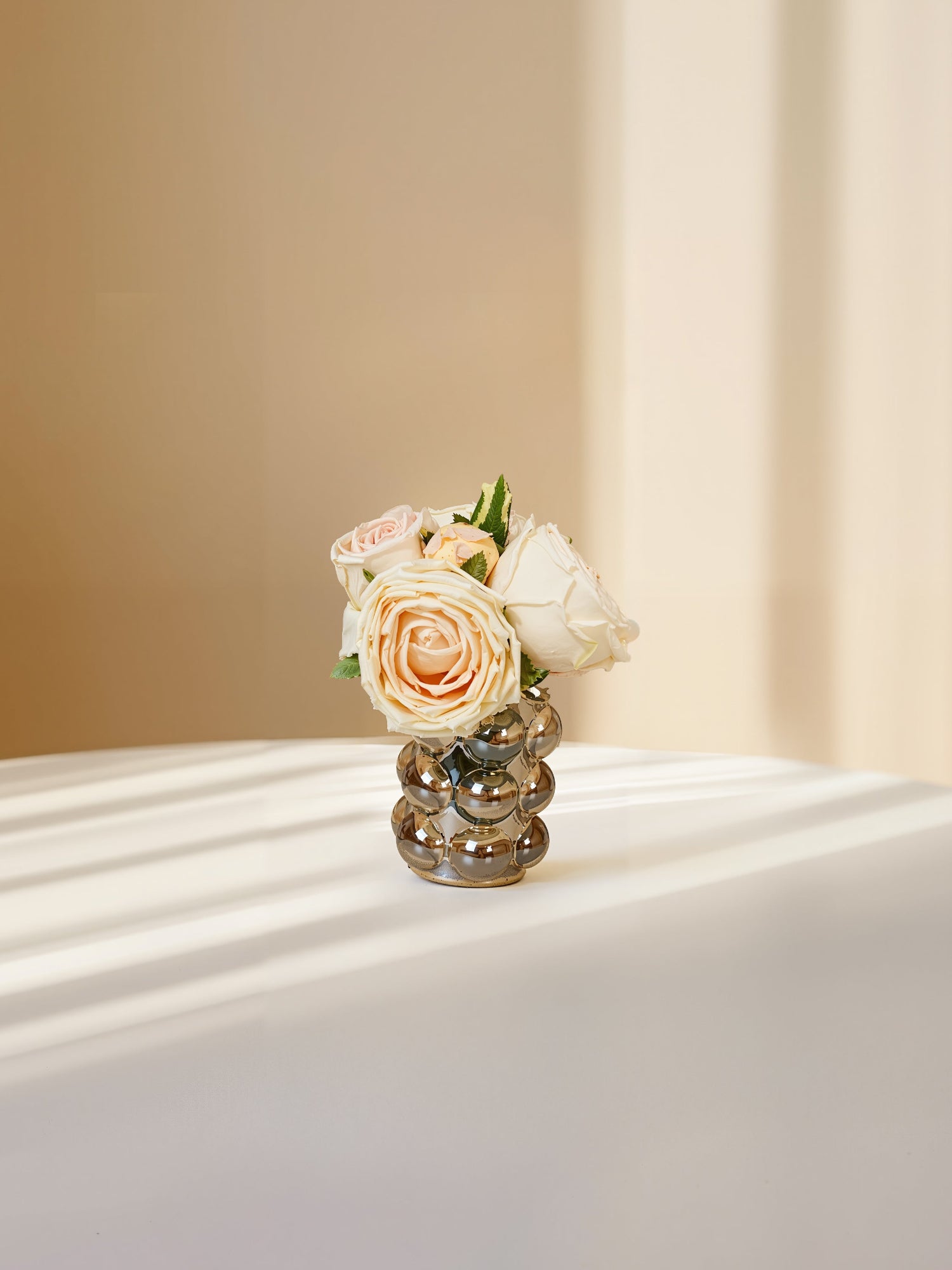 Amaranton - Ramo de 6 tallos de rosa de col de tacto real de 8" - Champán