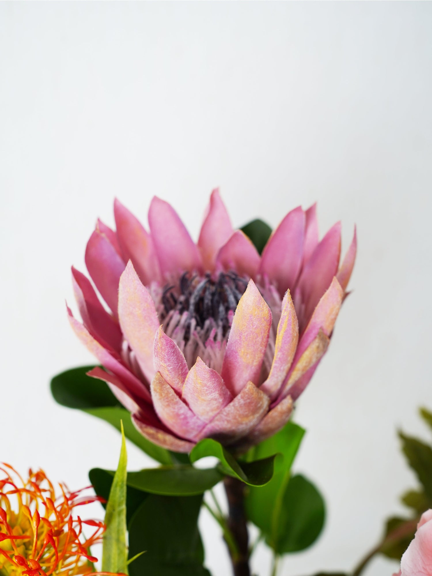 Ramo Sinfonía Otoñal de Amaranton 