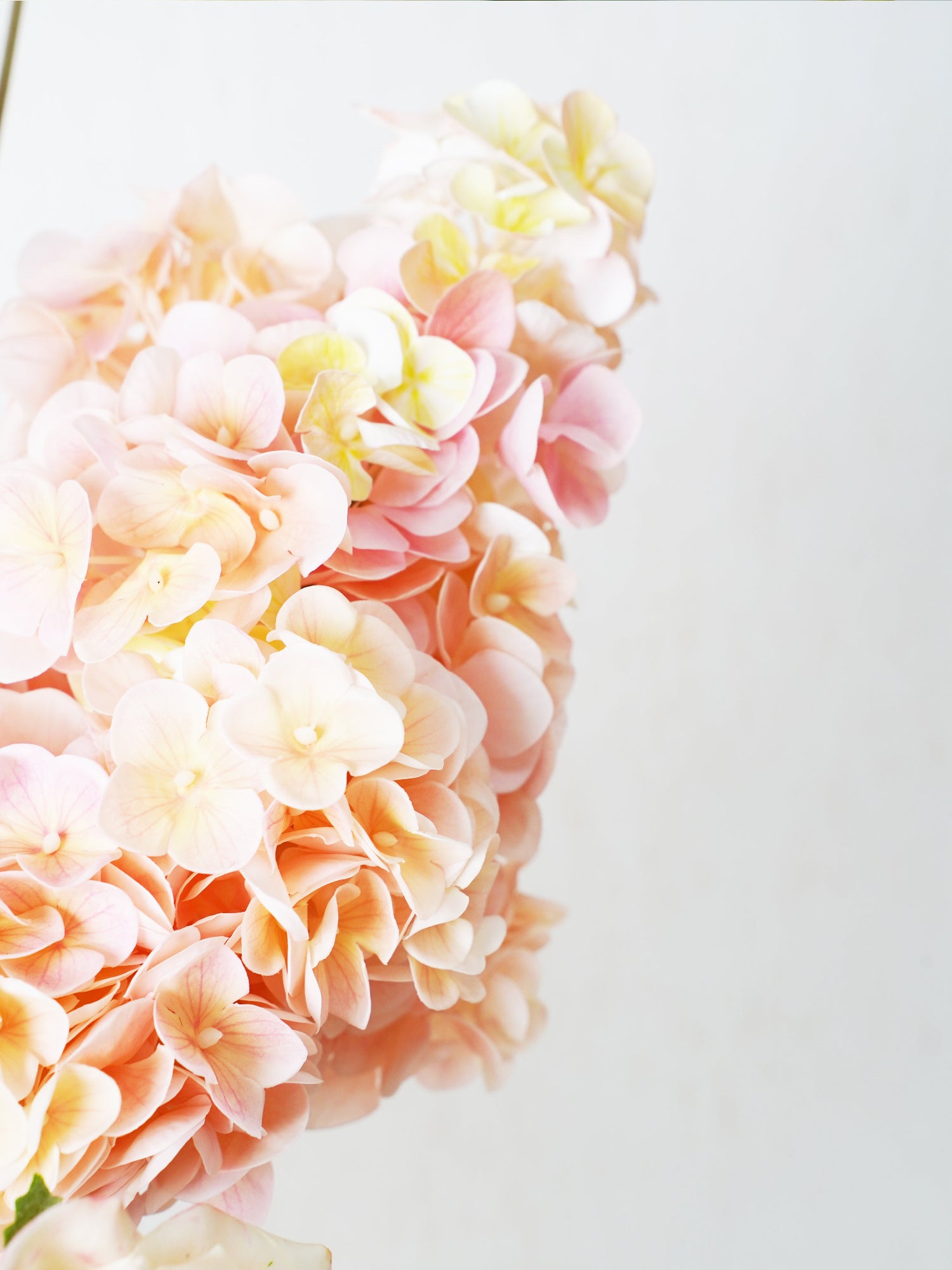 Ramo de champán rosado Amaranton 