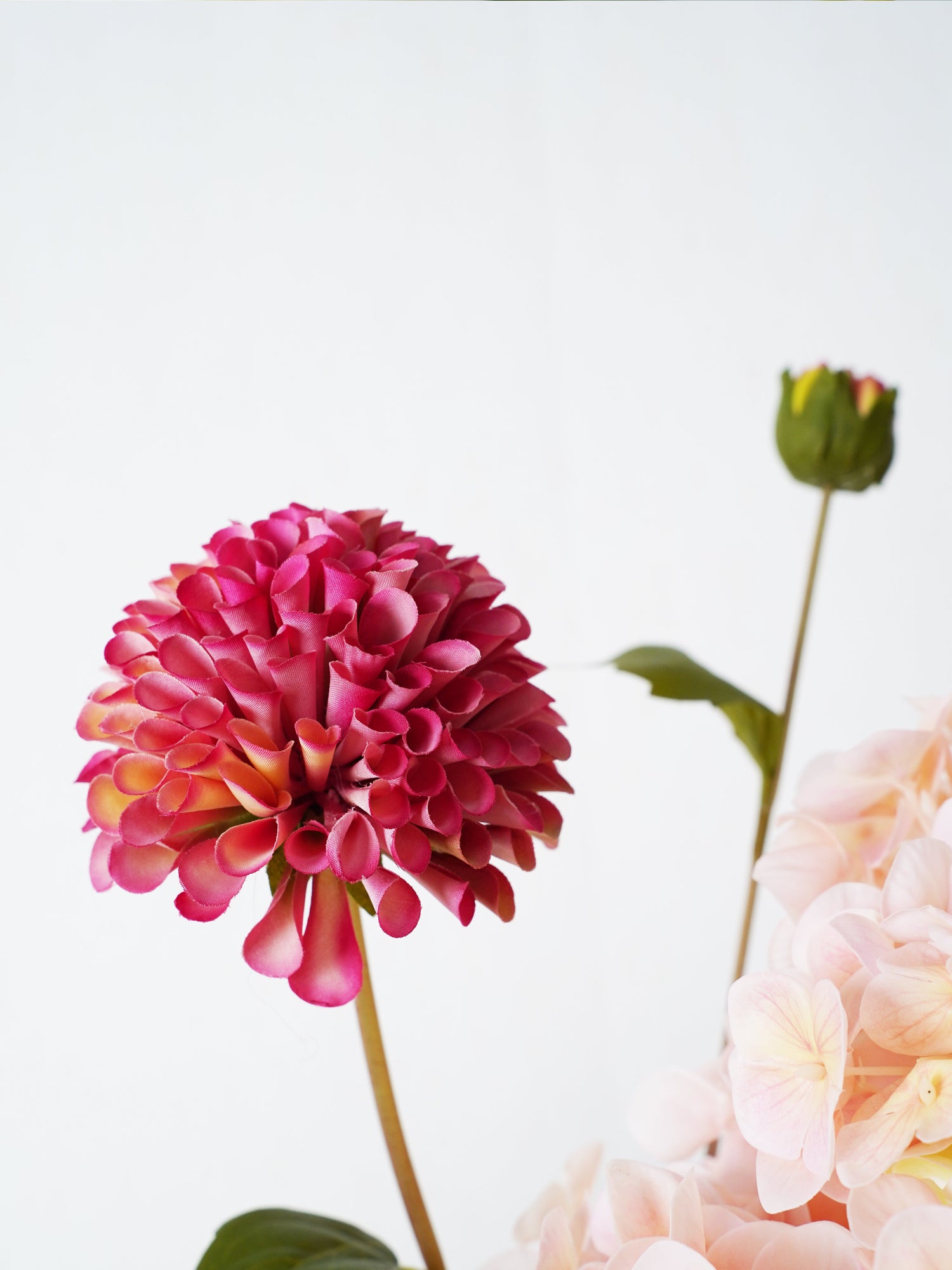 Ramo de champán rosado Amaranton 