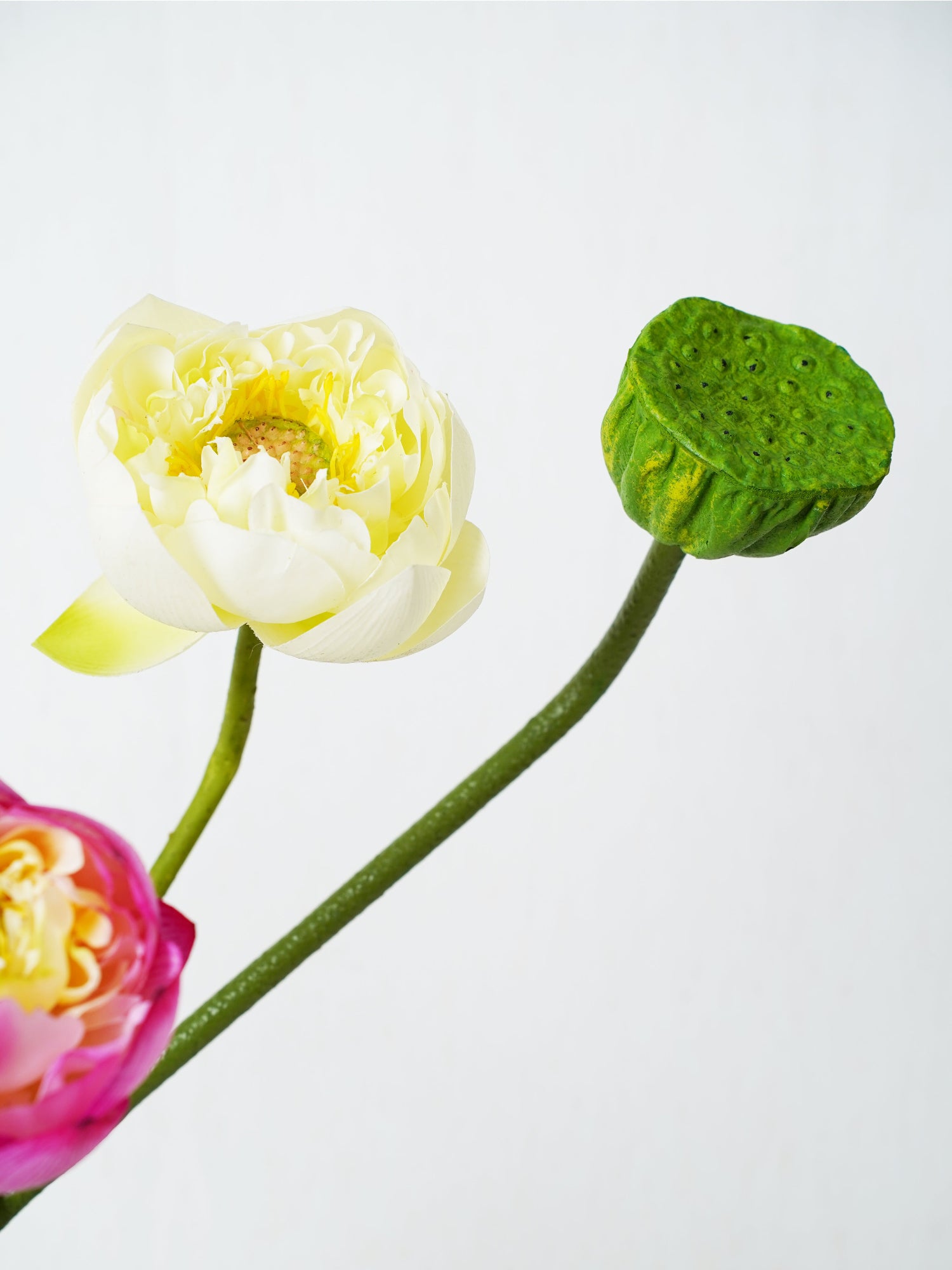 Ramo de armonía de loto de amaranto 