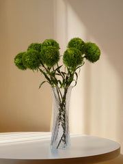 8 Stems Green Sweet William Bouquet