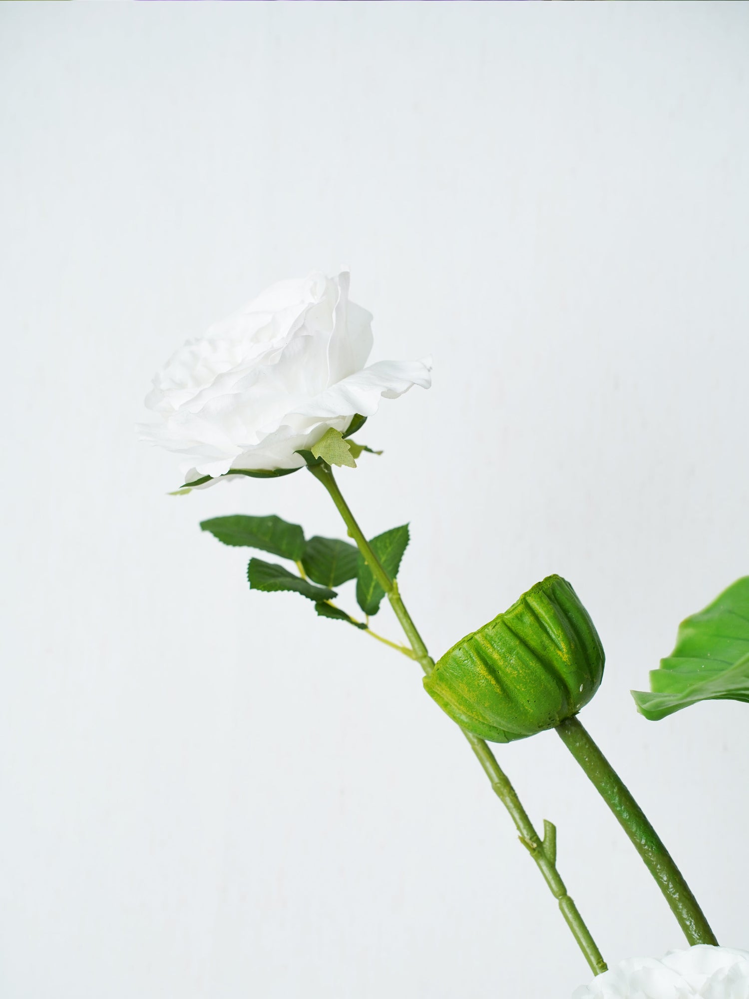 Ramo de pureza y pétalos de amaranto 