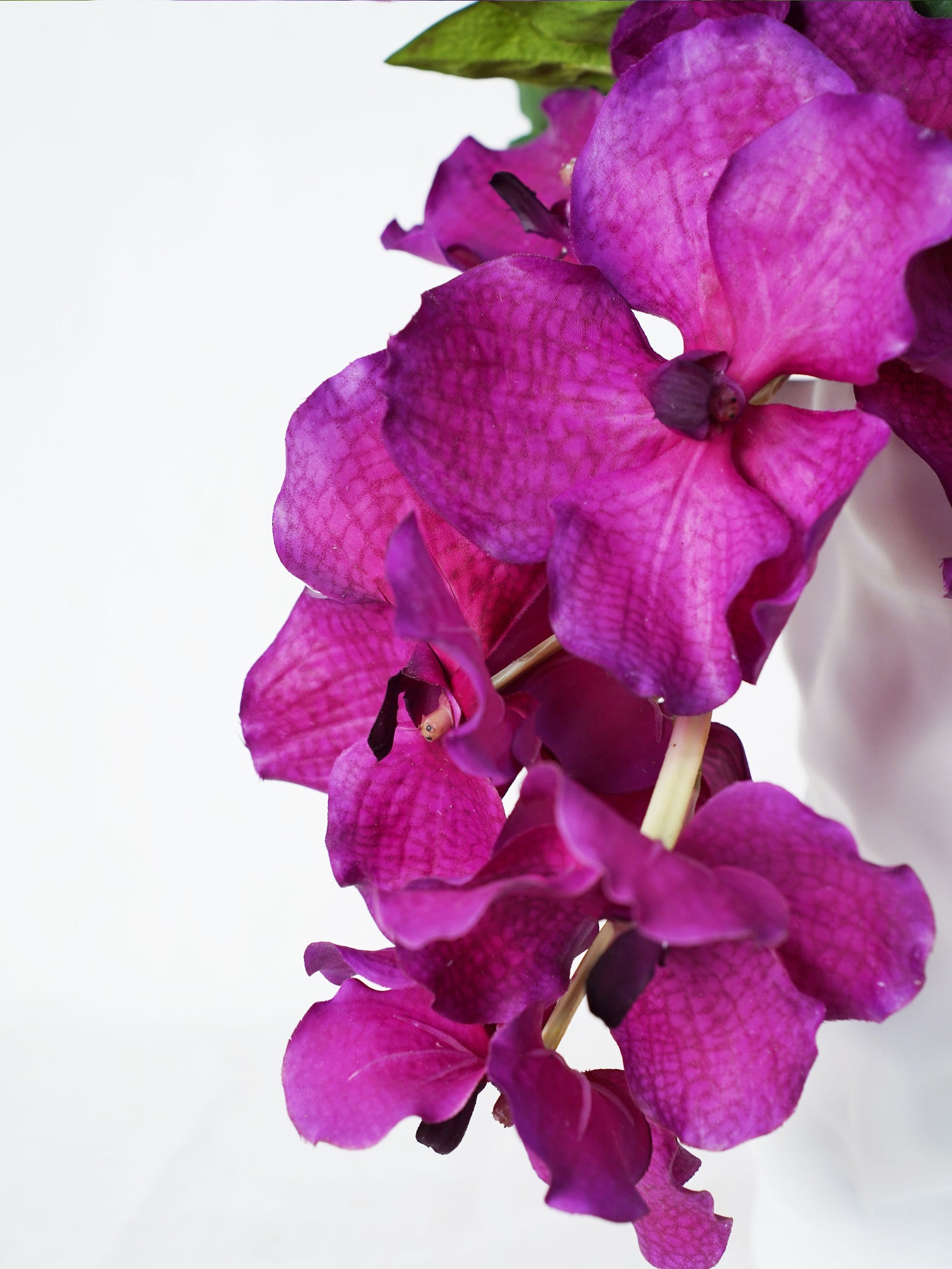 Ramo vibrante atardecer de Amaranton 