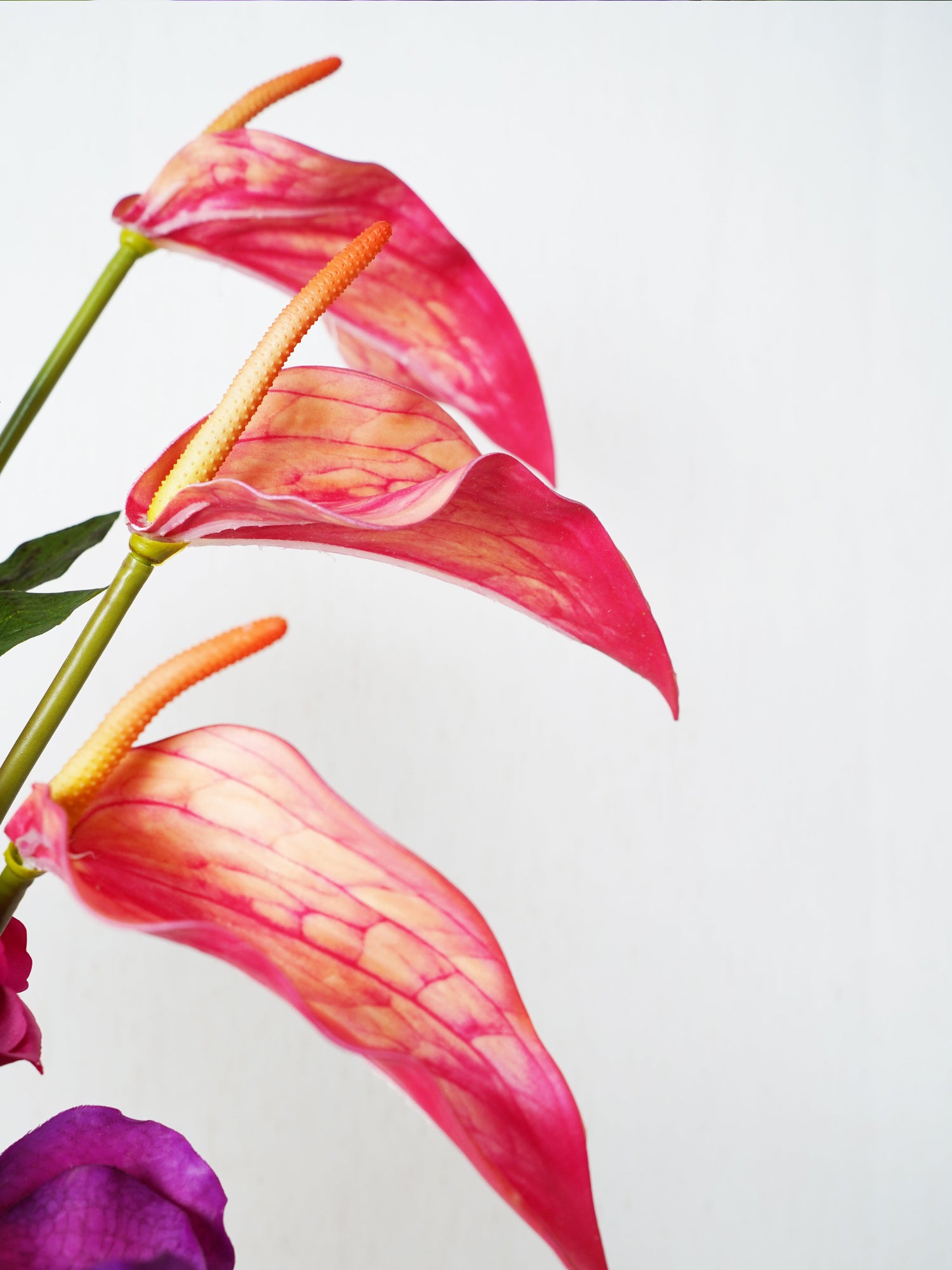 Ramo vibrante atardecer de Amaranton 