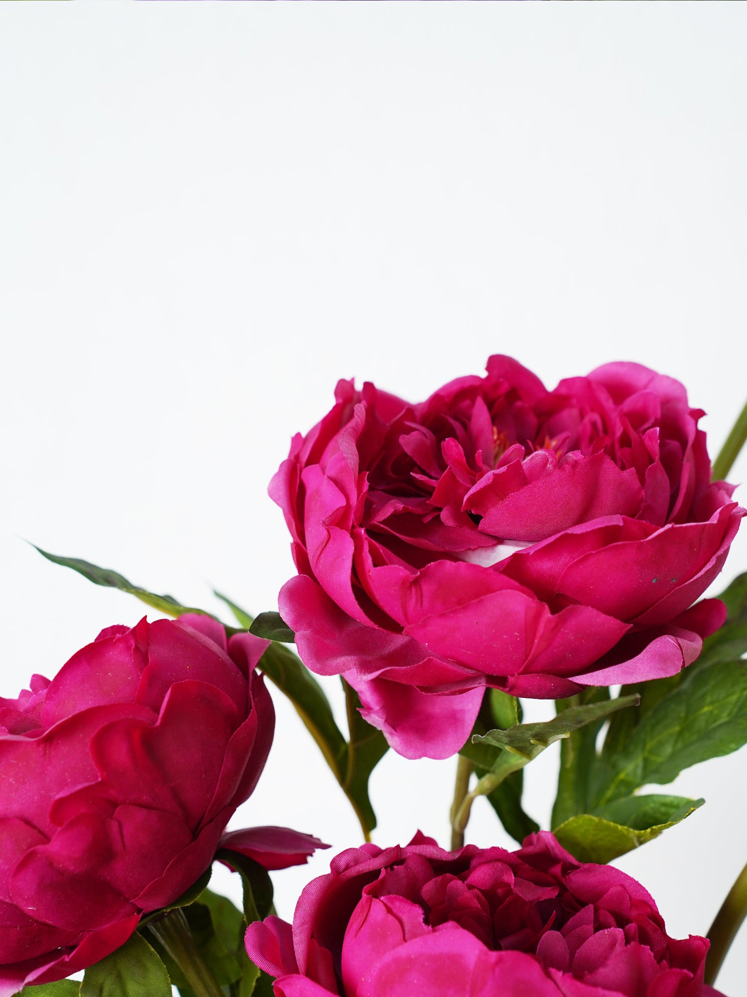 Ramo vibrante atardecer de Amaranton 