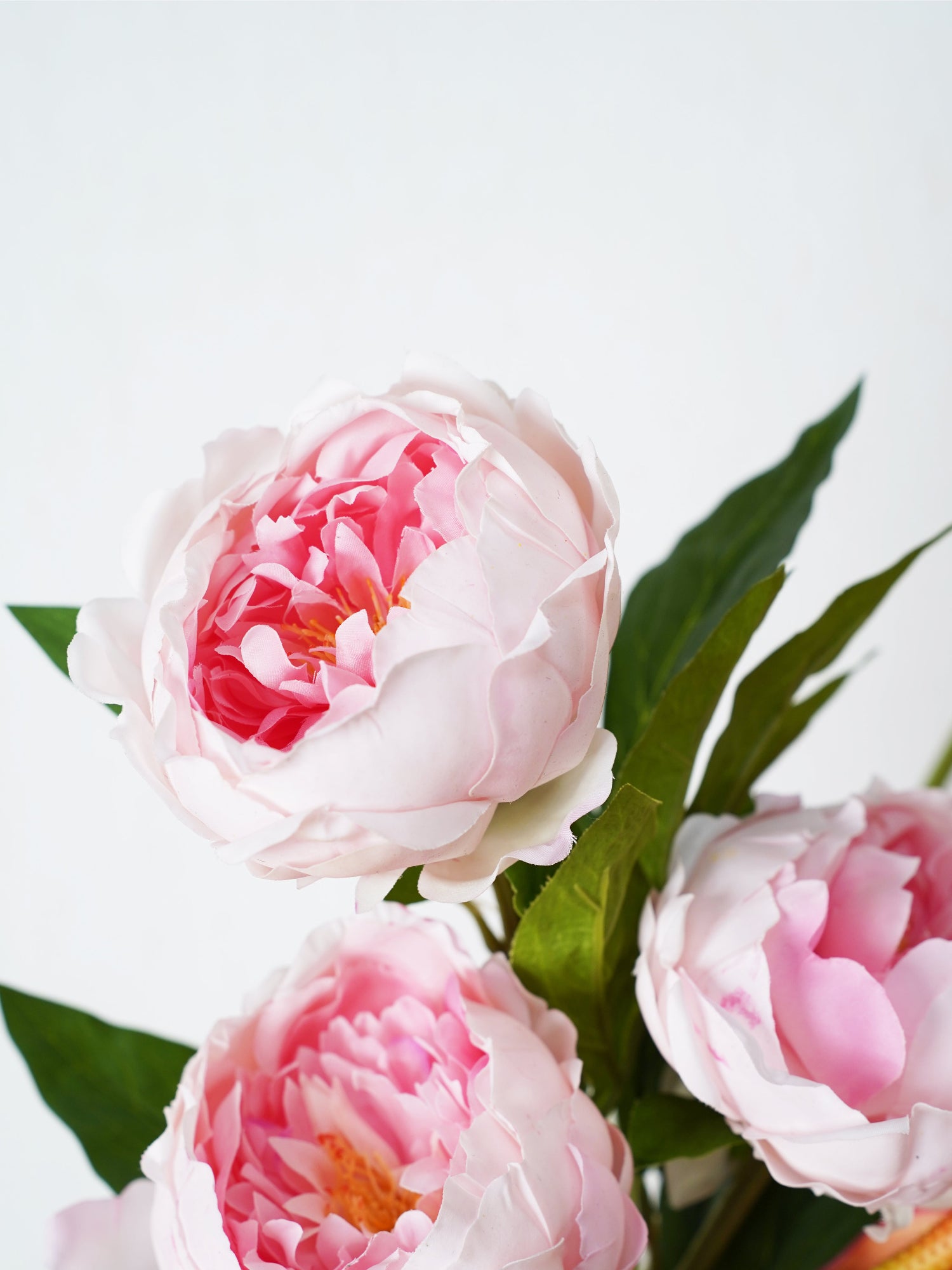 Ramo Amaranton Blush &amp; Flame