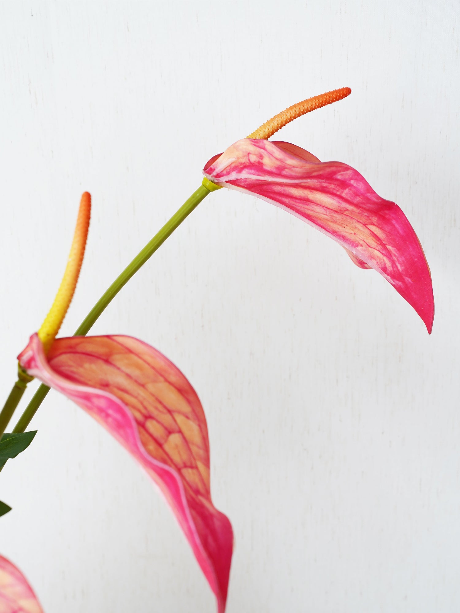 Ramo Amaranton Blush &amp; Flame