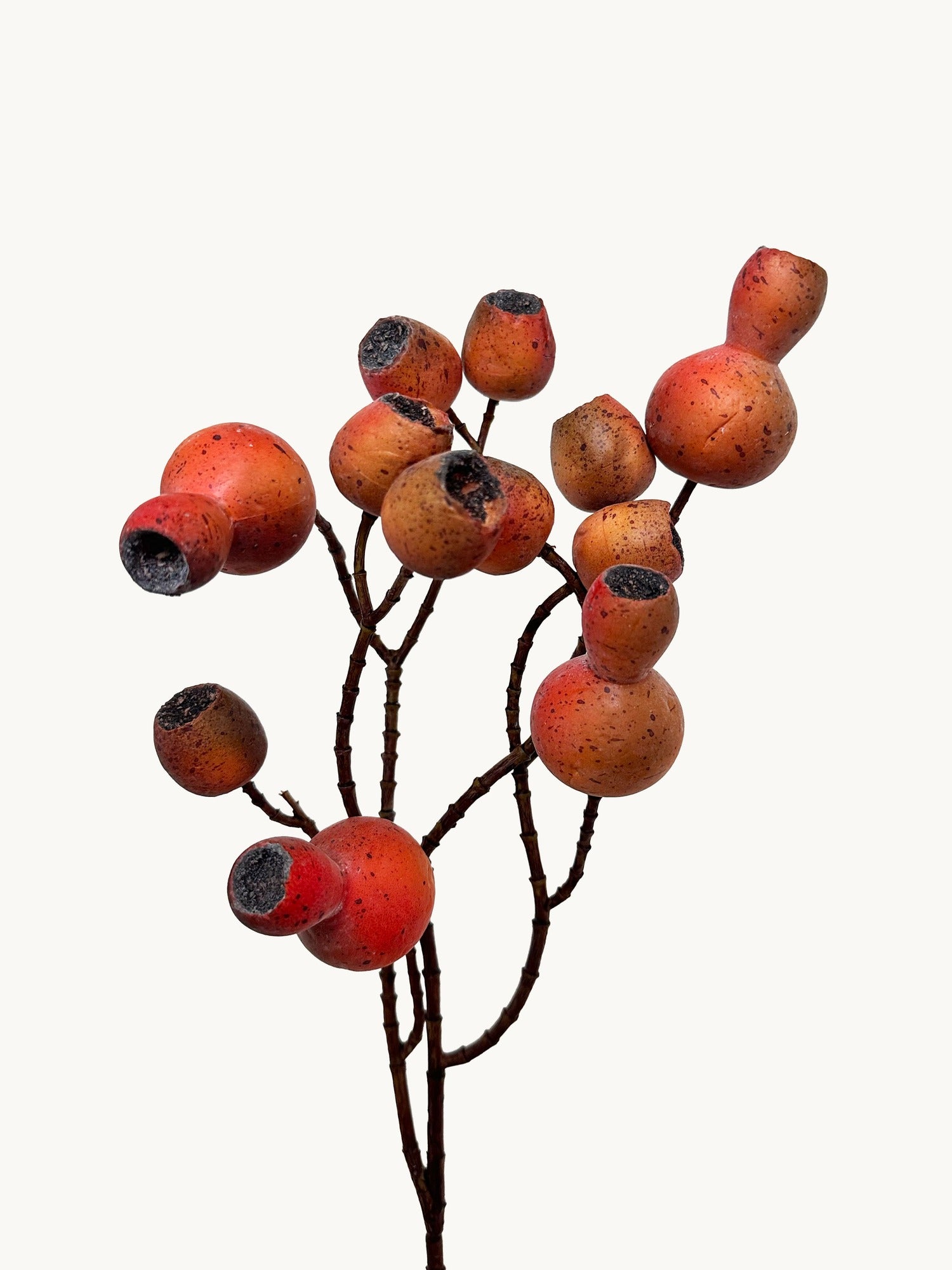 Amaranton - Pipa realista de frutas de 24" - Color óxido