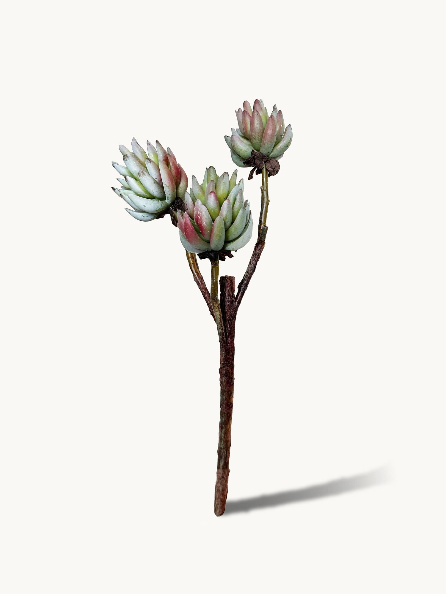 Amaranton 17" Real touch - Suculenta de 3 cabezas - Verde marrón