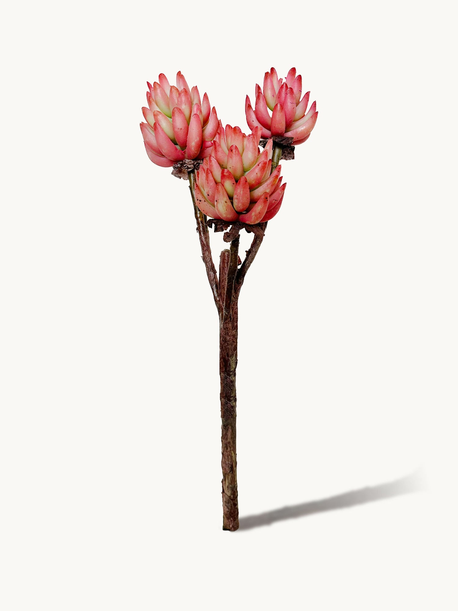 Amaranton 17" Real touch - Suculenta de 3 cabezas - Naranja parduzco