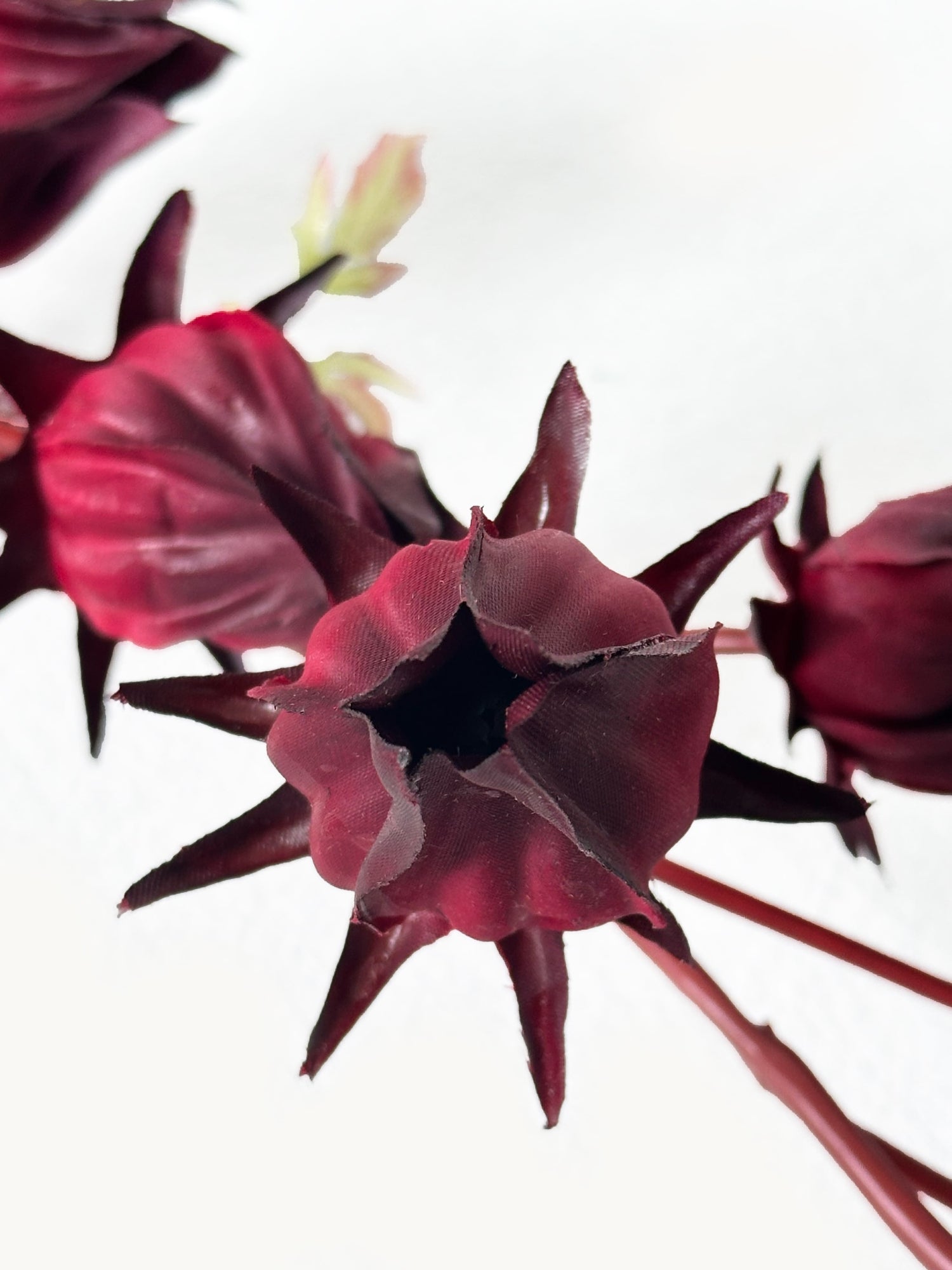 Amaranton 33" Artificial Roselle Fruits 7 Headed