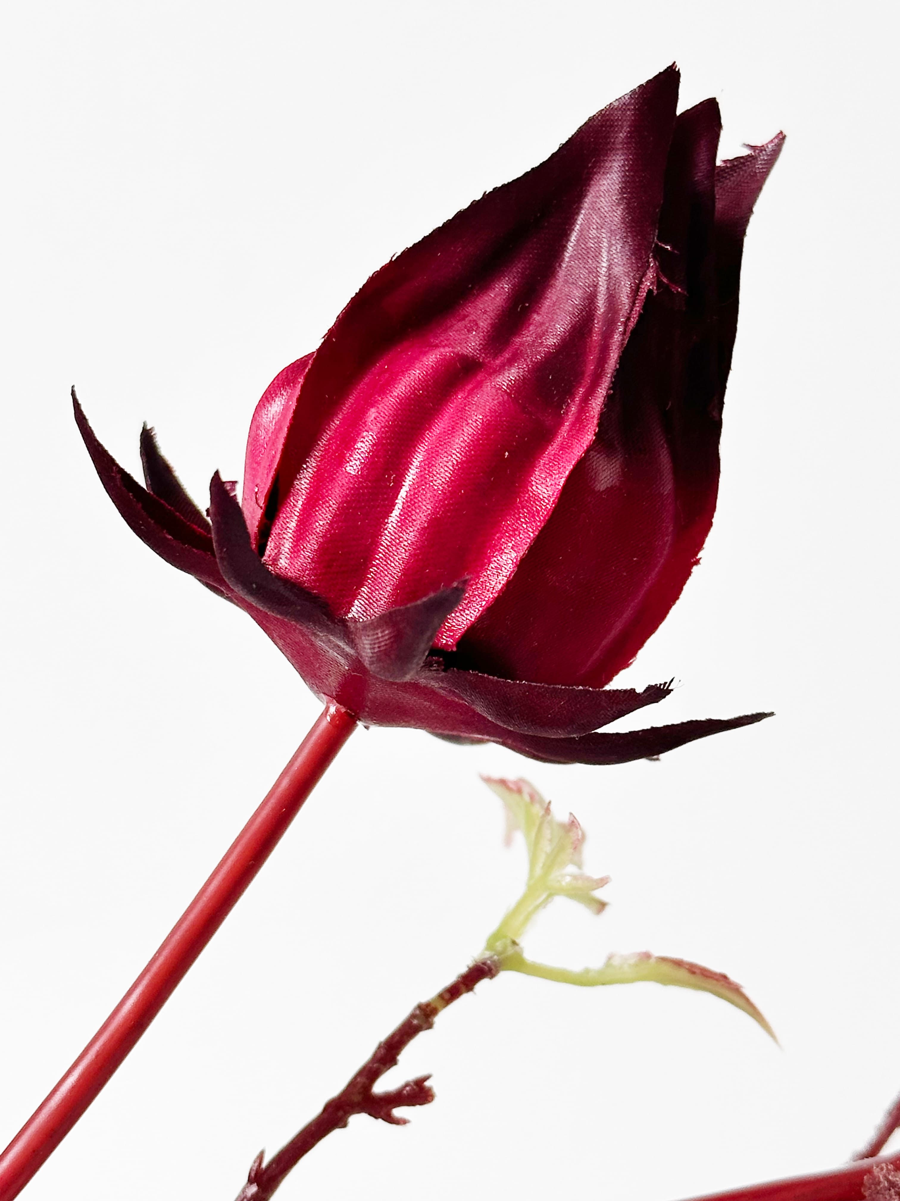 Amaranton 33" Artificial Roselle Fruits 7 Headed