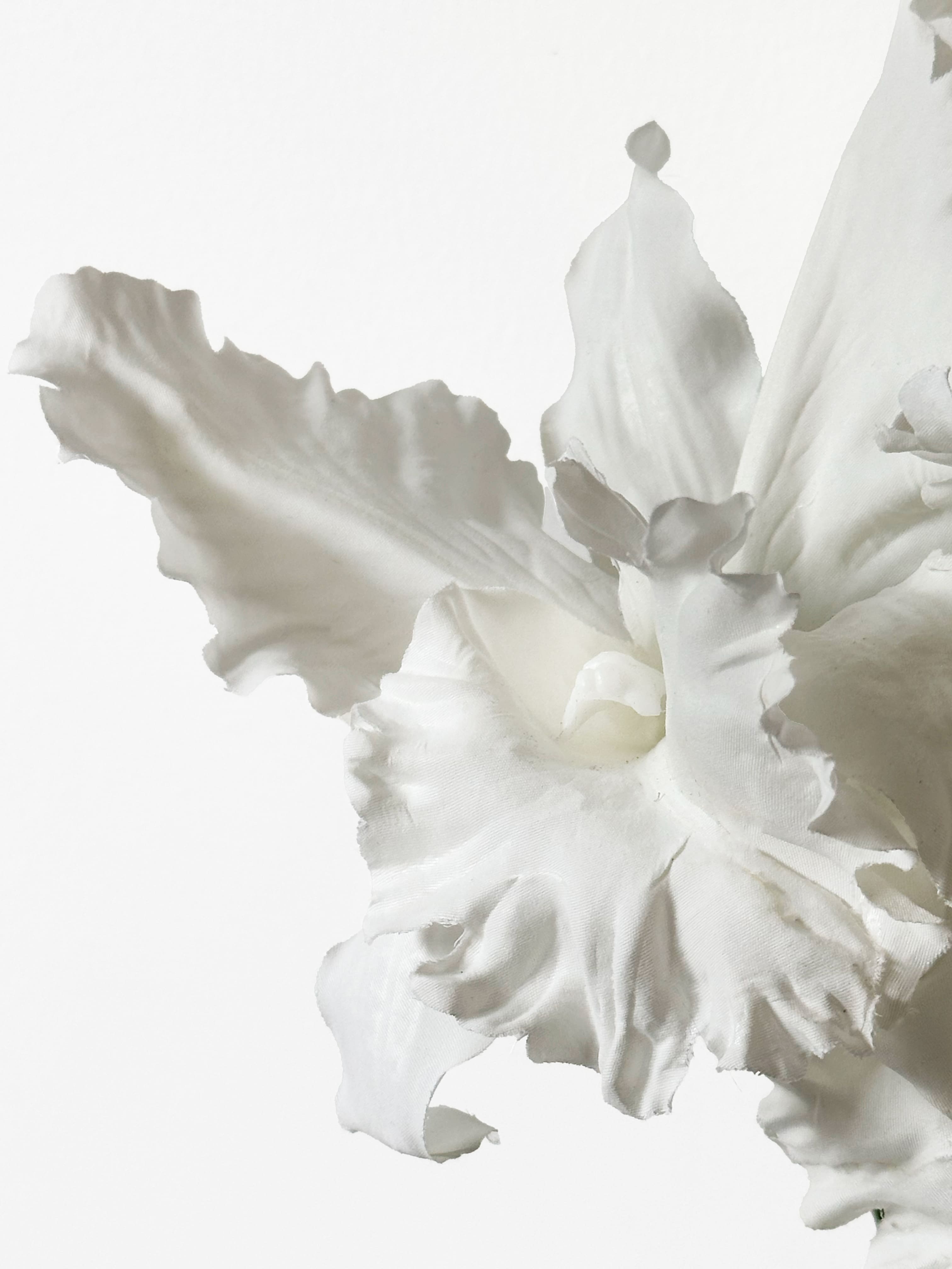 Amaranton 18" Artificial 2 - Crecimiento Cattleya - Blanco