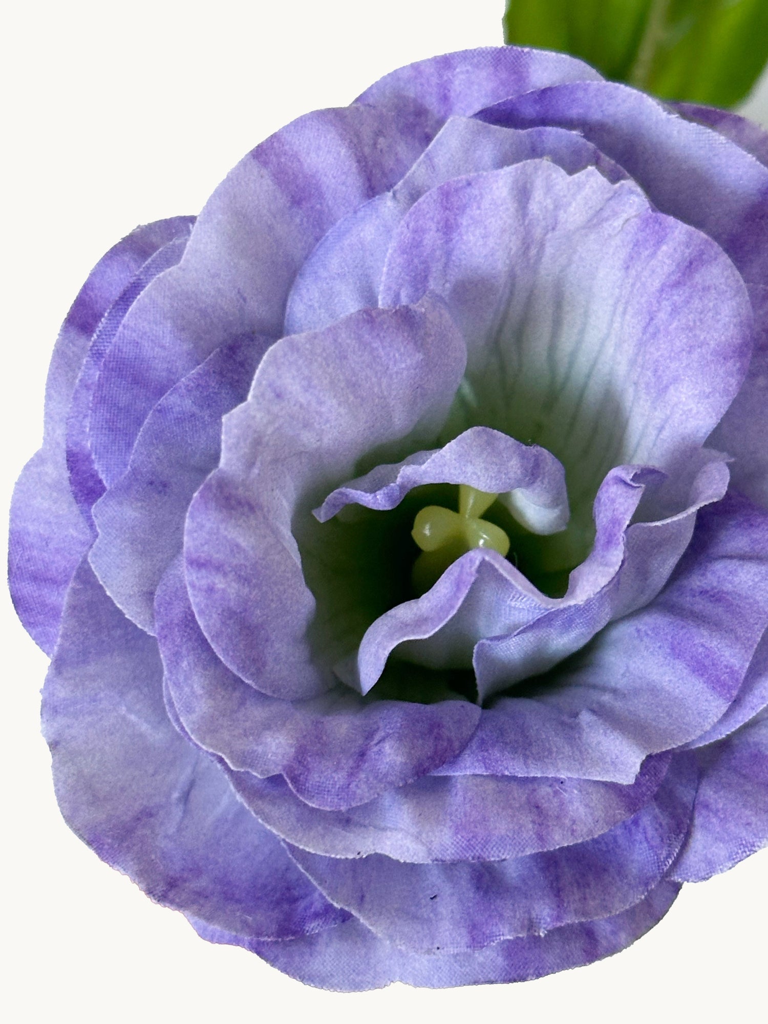 Amaranton 28" Real touch 3 - Flor de globo Bloom - Morado