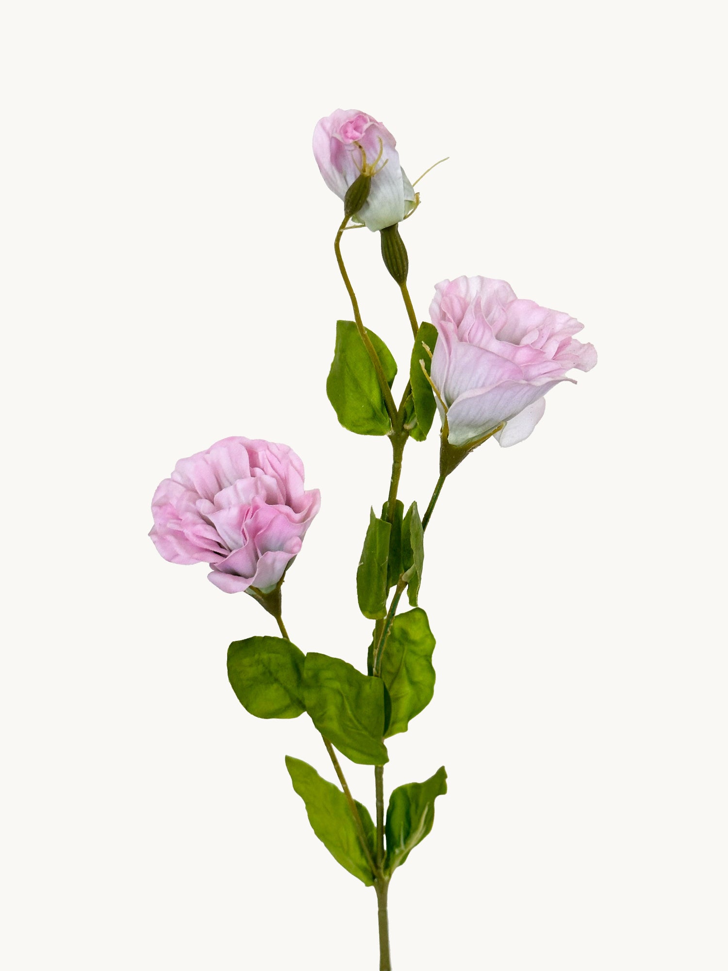 Amaranton - Globo flor de tacto real de 28" - Morado rosado