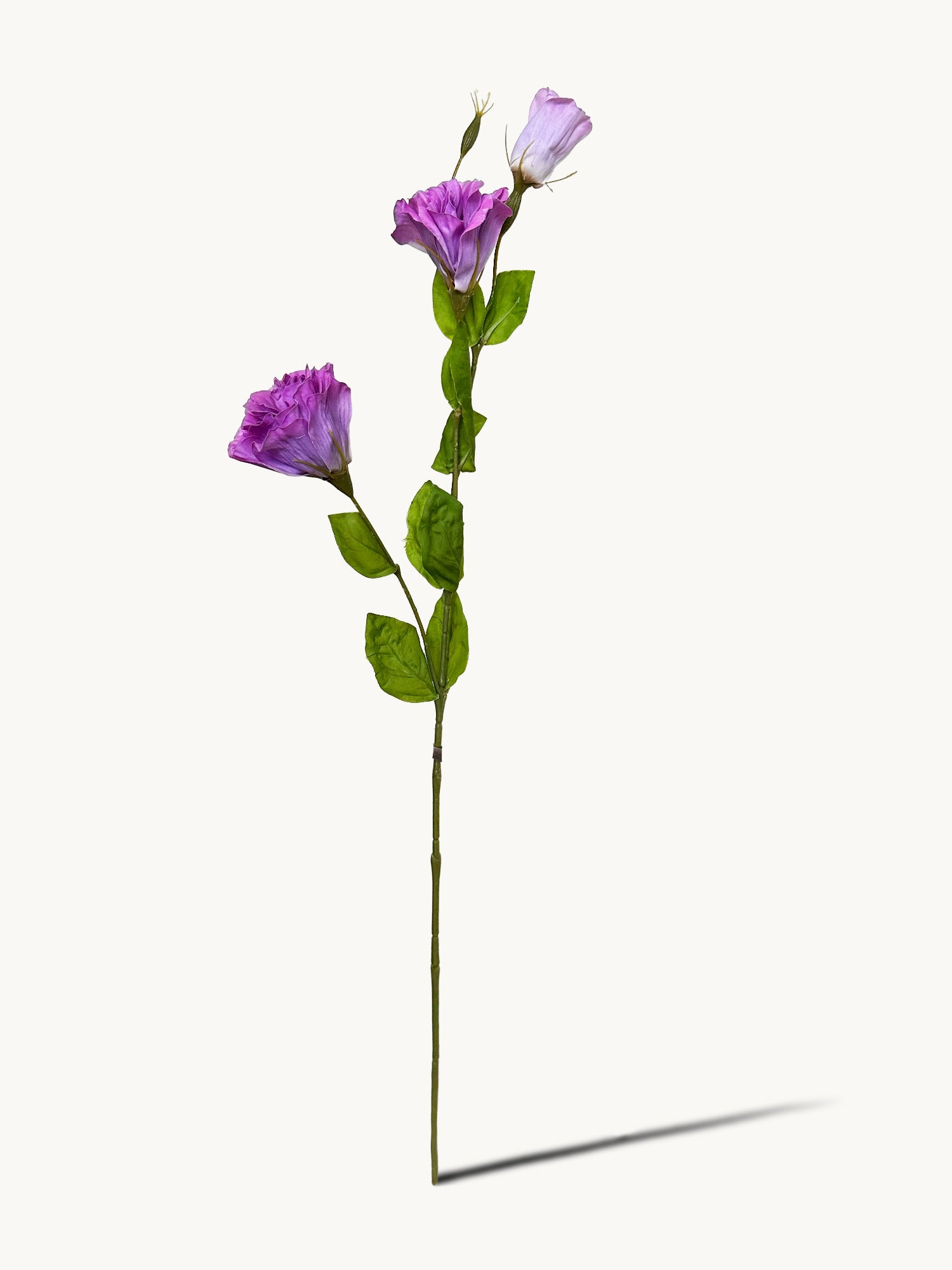 Amaranton 28" Real touch 3 - Flor globo Bloom - Morado rojizo 