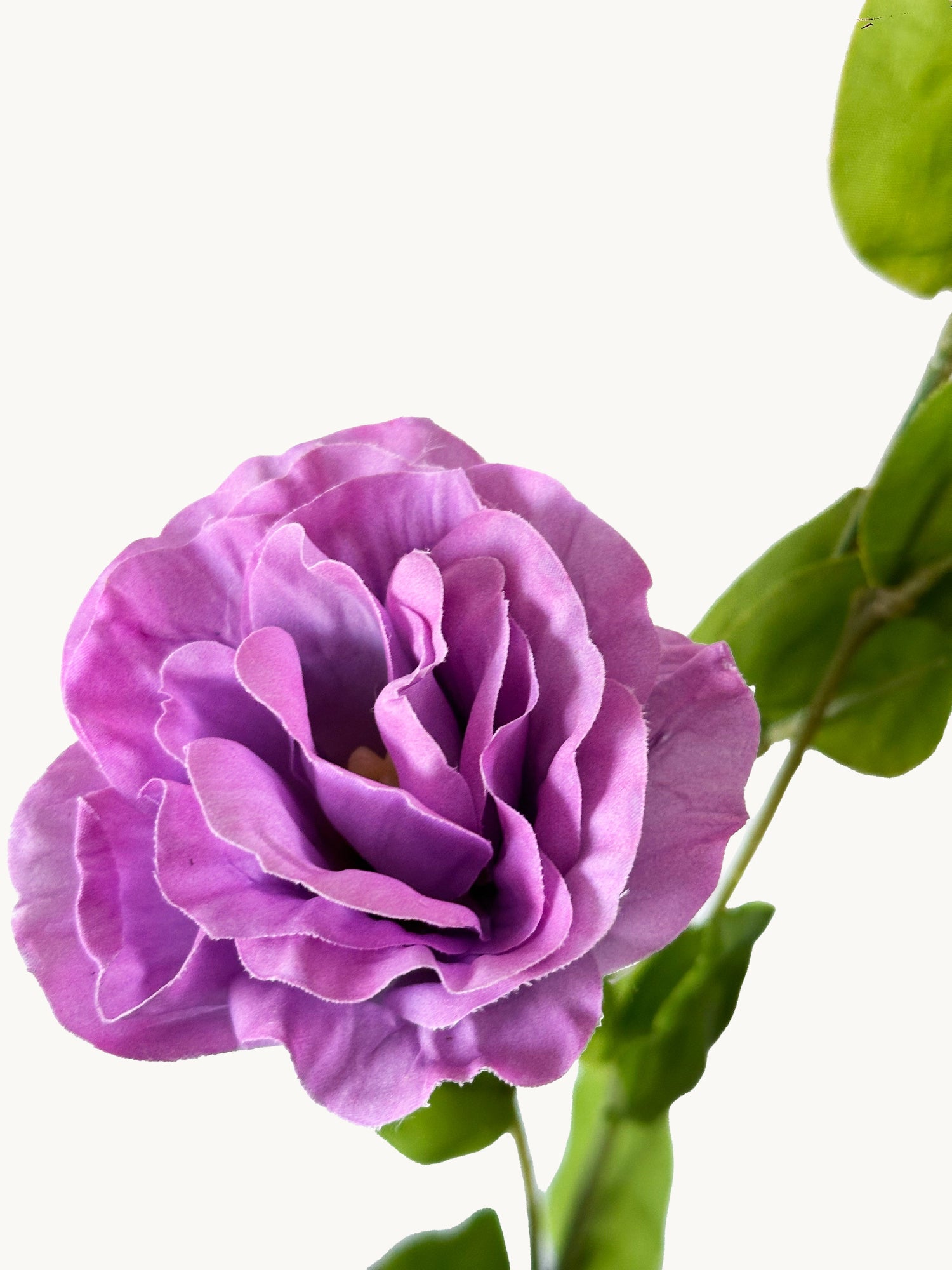 Amaranton 28" Real touch 3 - Flor globo Bloom - Morado rojizo 