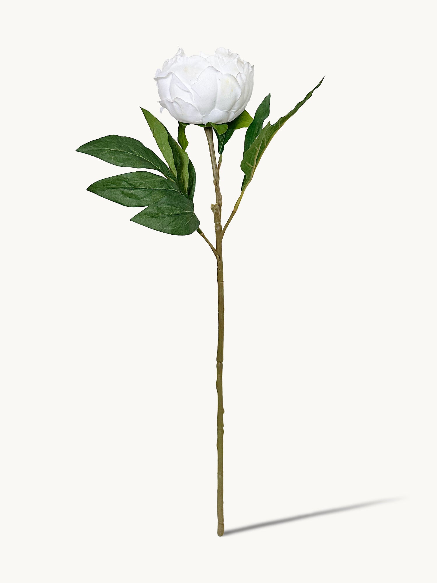 Peonía Amaranton de 23" con tacto real - Blanca