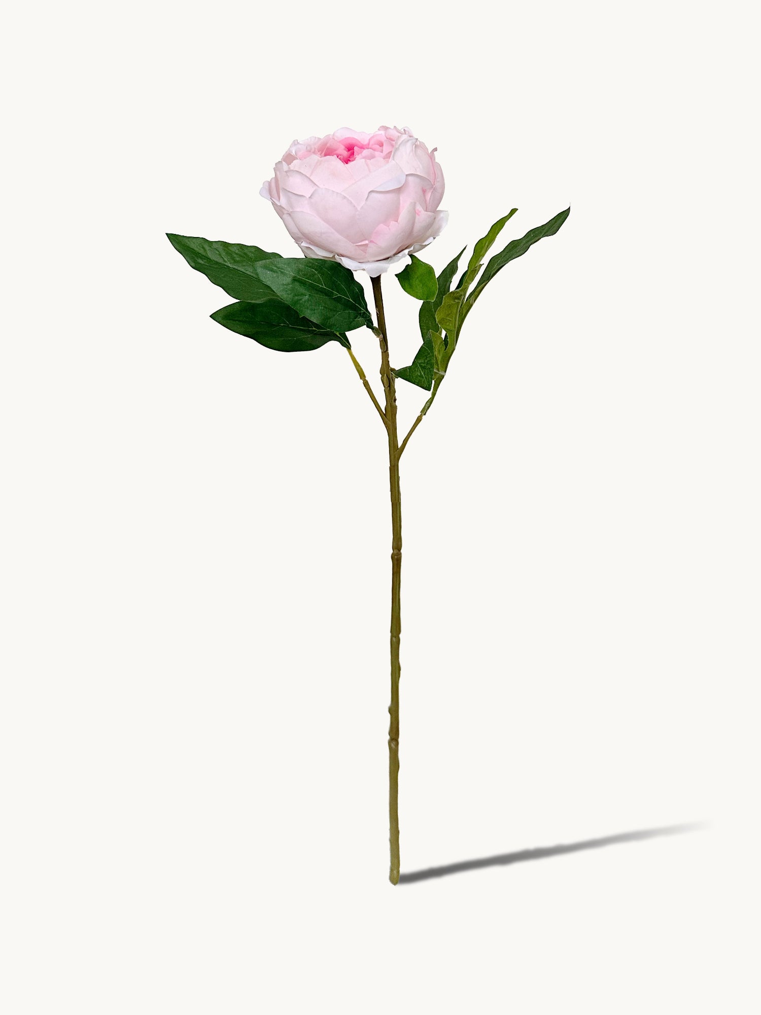 Peonía Amaranton de 23" con tacto real - Rosa