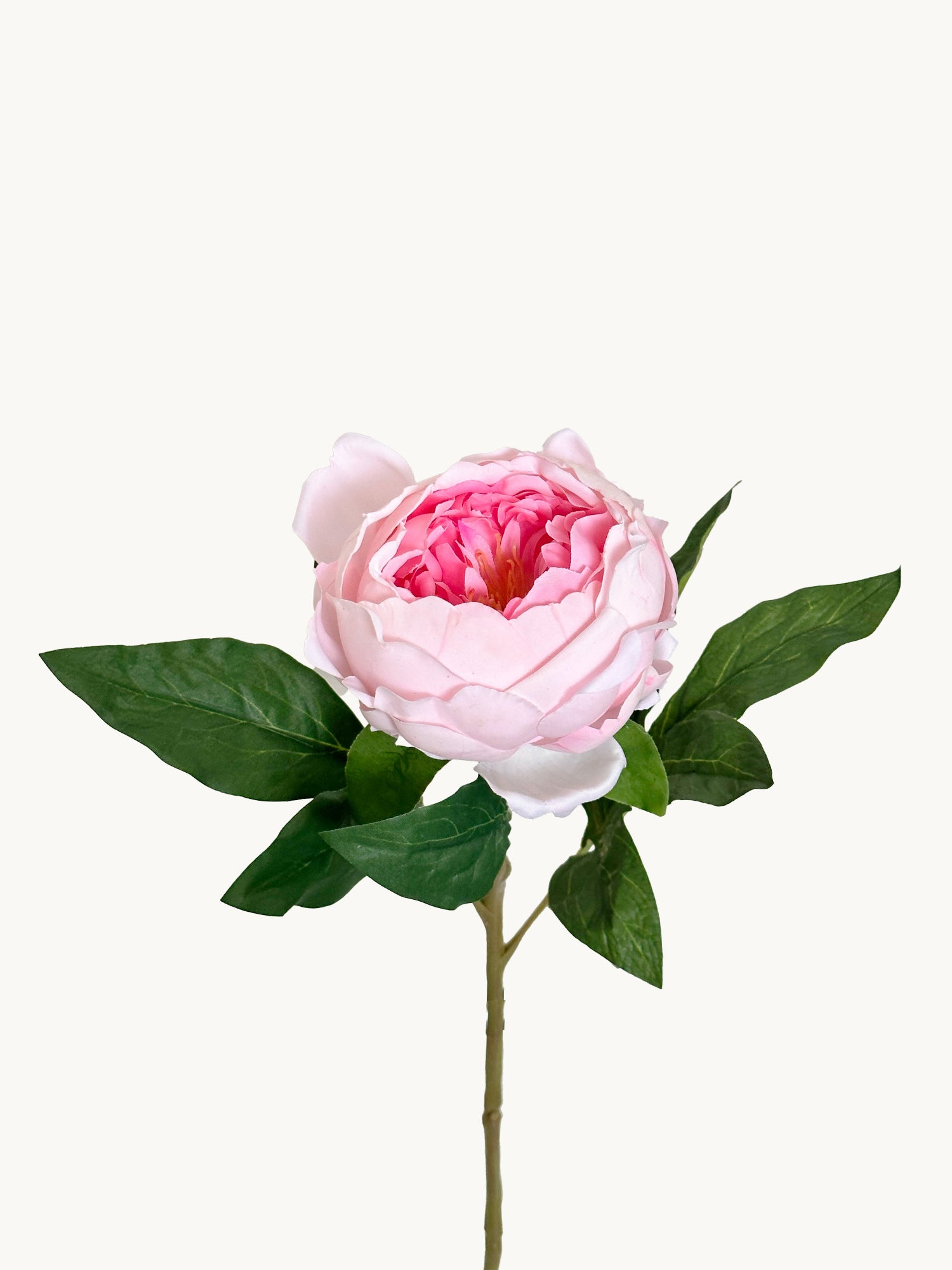 Peonía Amaranton de 23" con tacto real - Rosa