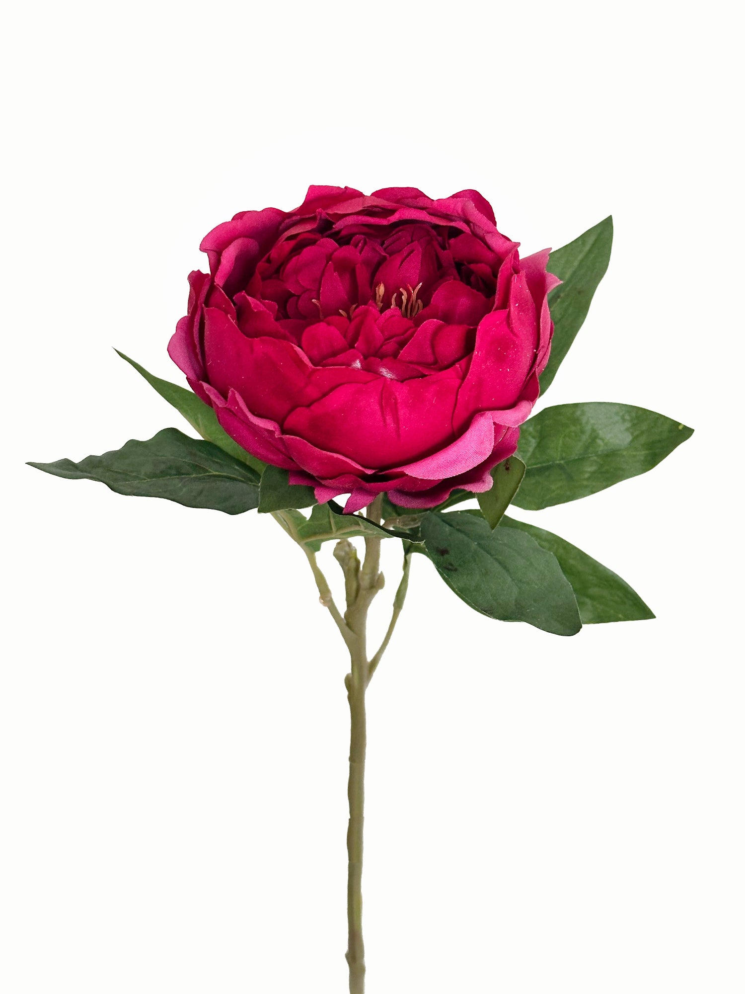 Peonía Amaranton de 23" con tacto real - Roja