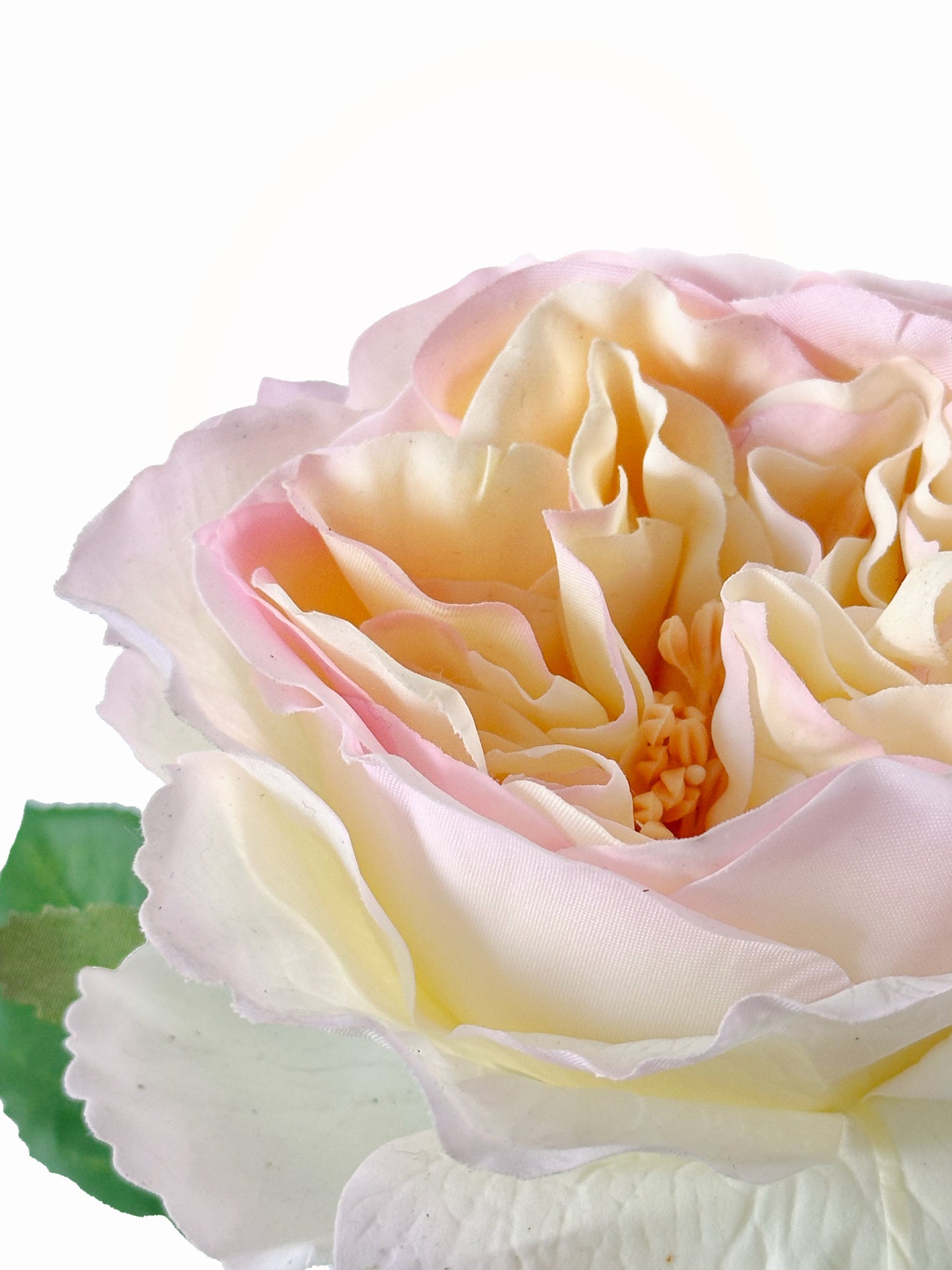 Amaranton 25" Real touch Austin Rose - Rosa salmón