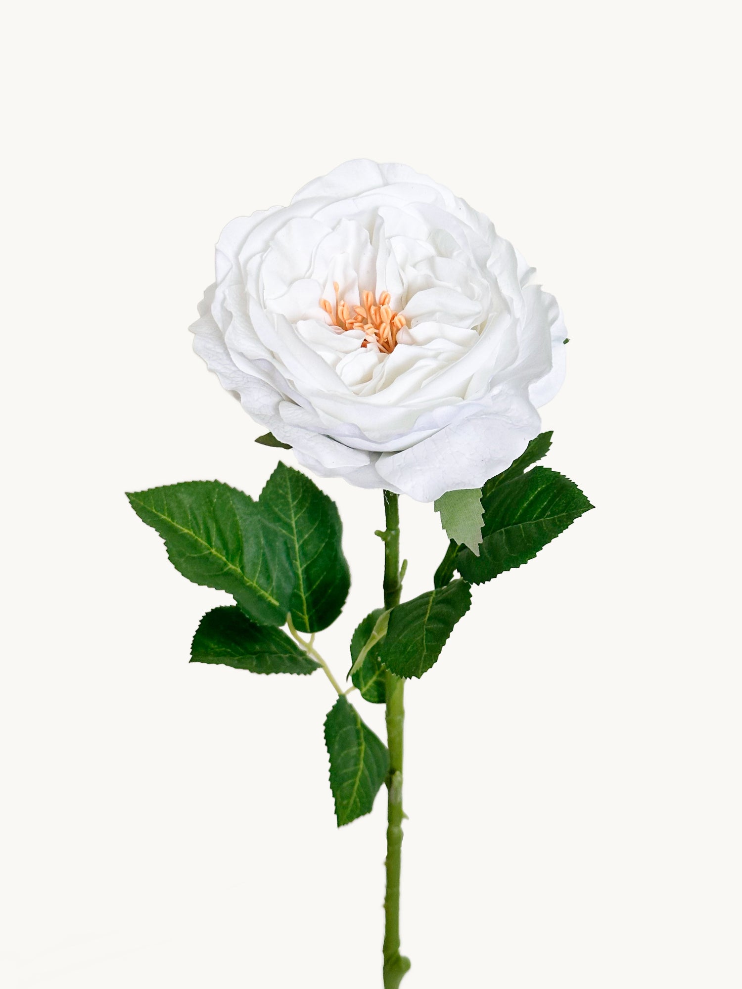 Peonía Amaranton de 25" con tacto real - Blanca