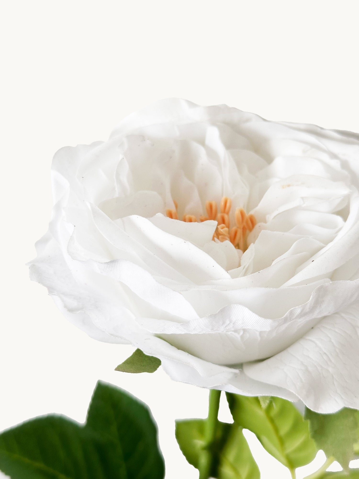 Peonía Amaranton de 25" con tacto real - Blanca