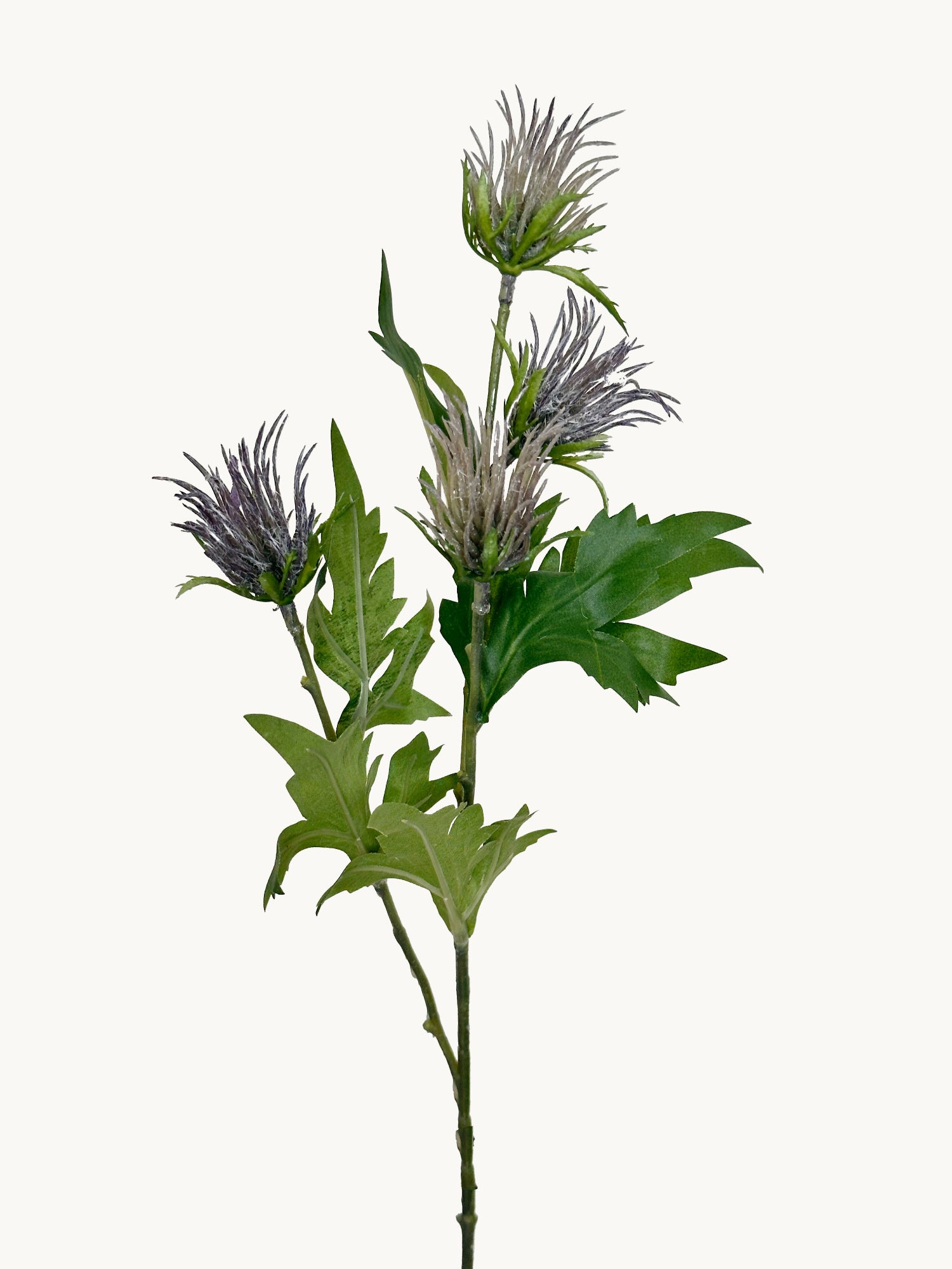 Amaranton 27" Frutos realistas de Atractylodes de 4 cabezas - Morado