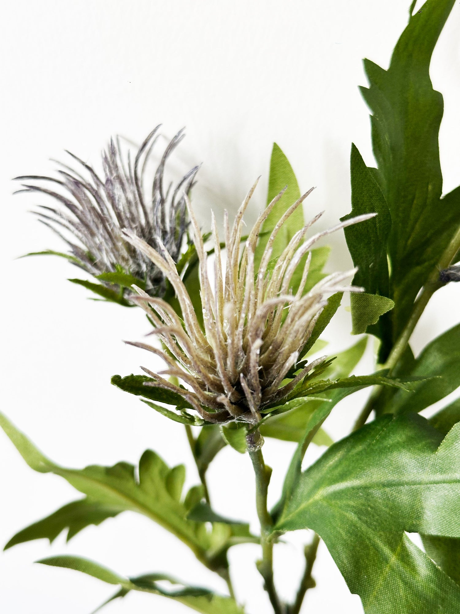 Amaranton 27" Frutos realistas de Atractylodes de 4 cabezas - Morado