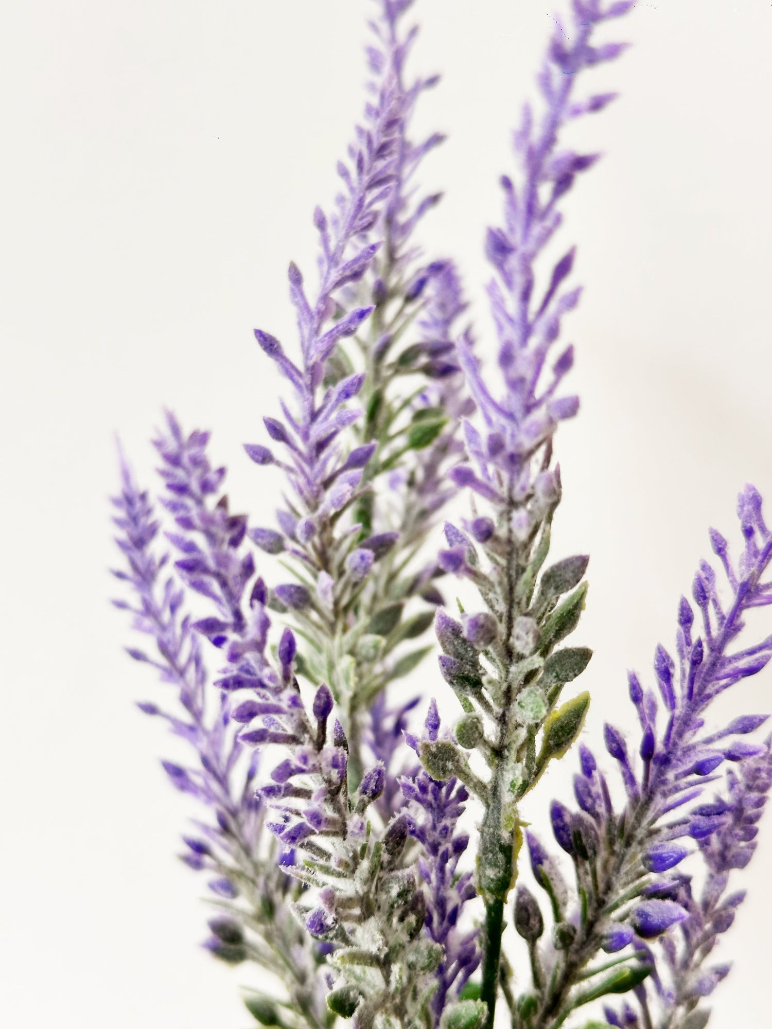 Amaranton Artificial de 14" con 5 Ramas, Lavanda, Morado