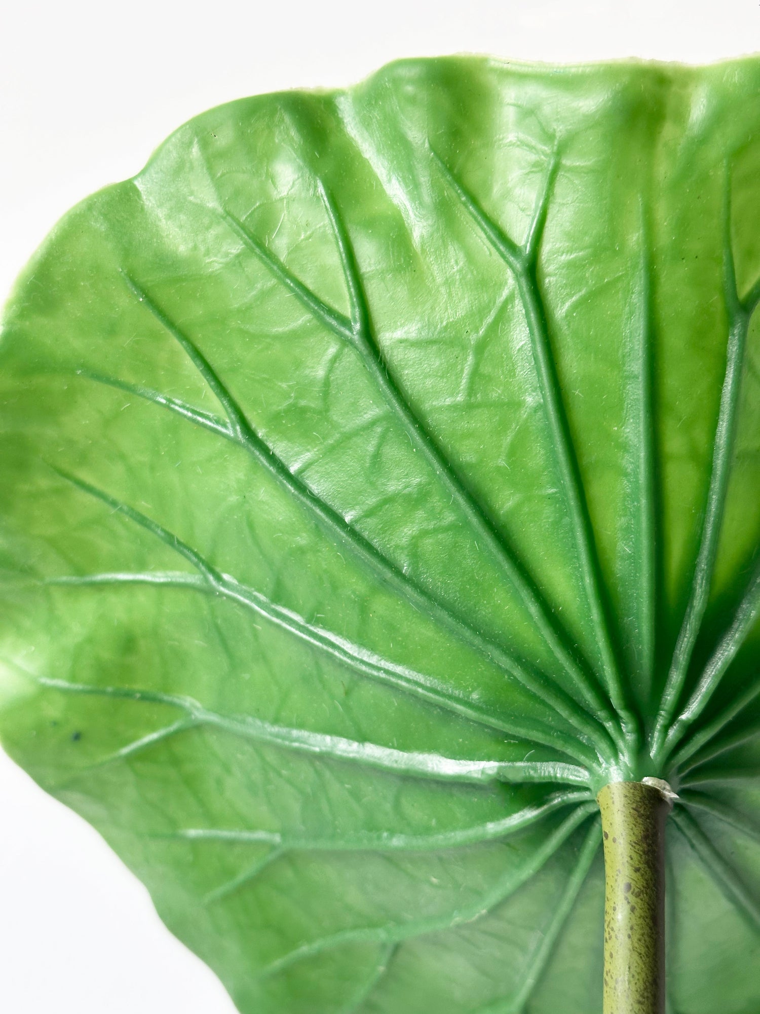 Hoja de loto artificial Amaranton de 28"