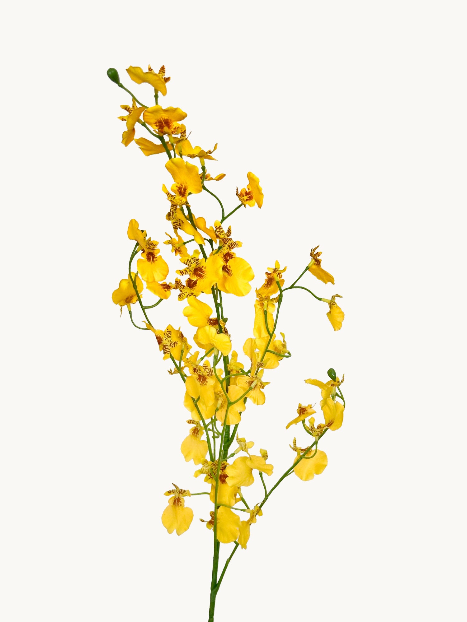 Amaranton - Orquídea danzante realista de 32" - Amarilla