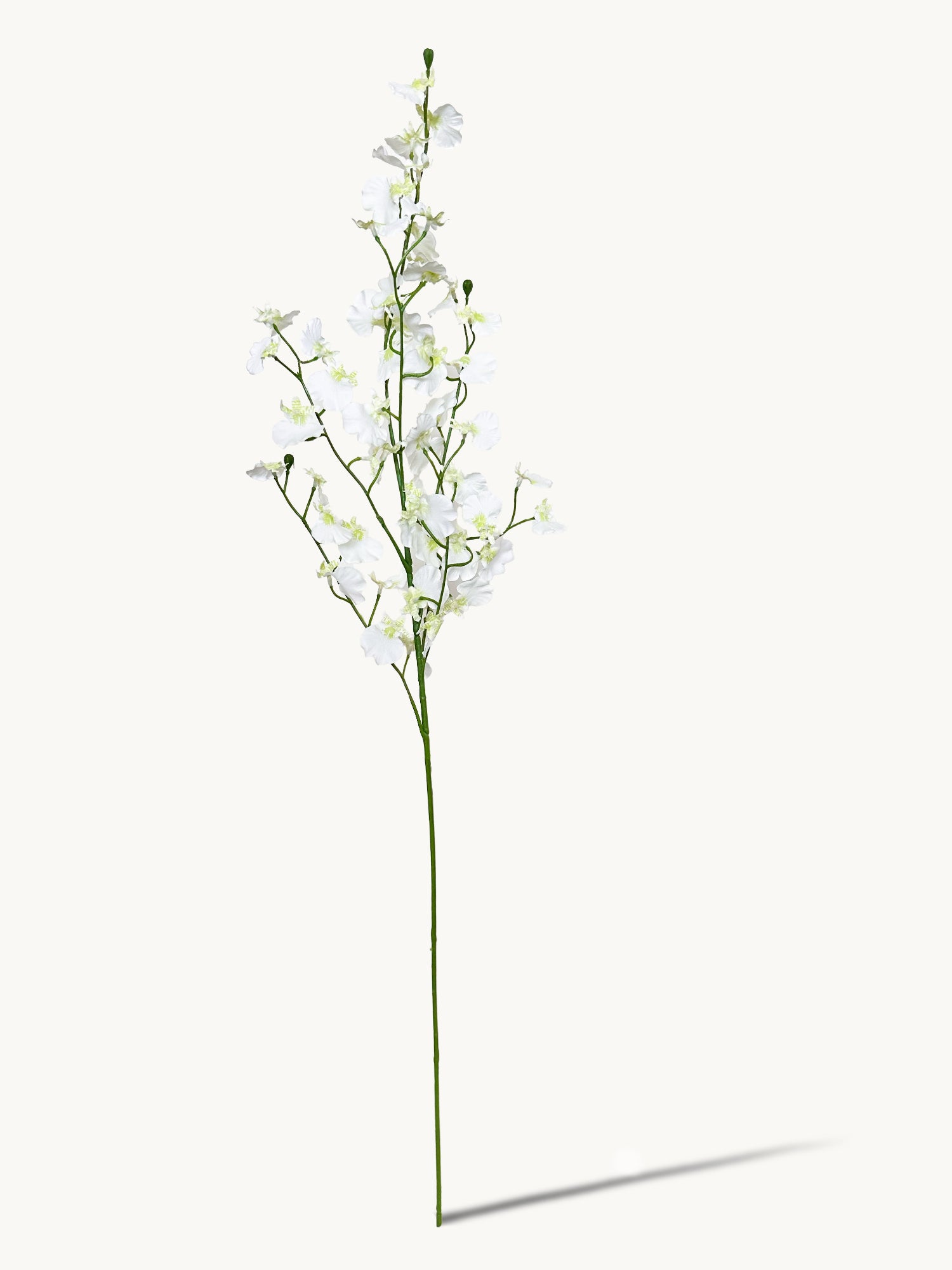 Amaranton - Orquídea danzante realista de 81 cm - Blanca