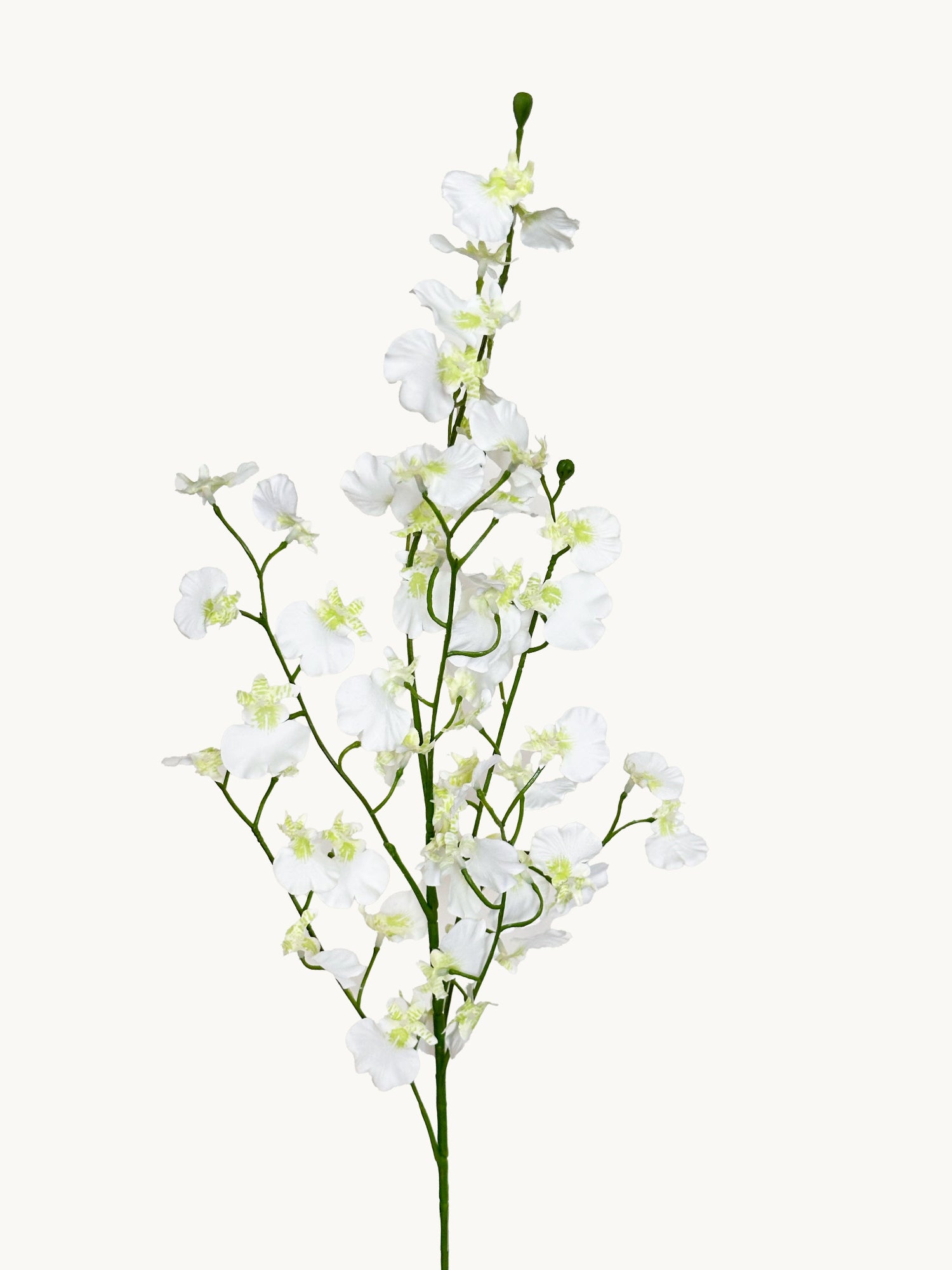 Amaranton - Orquídea danzante realista de 81 cm - Blanca