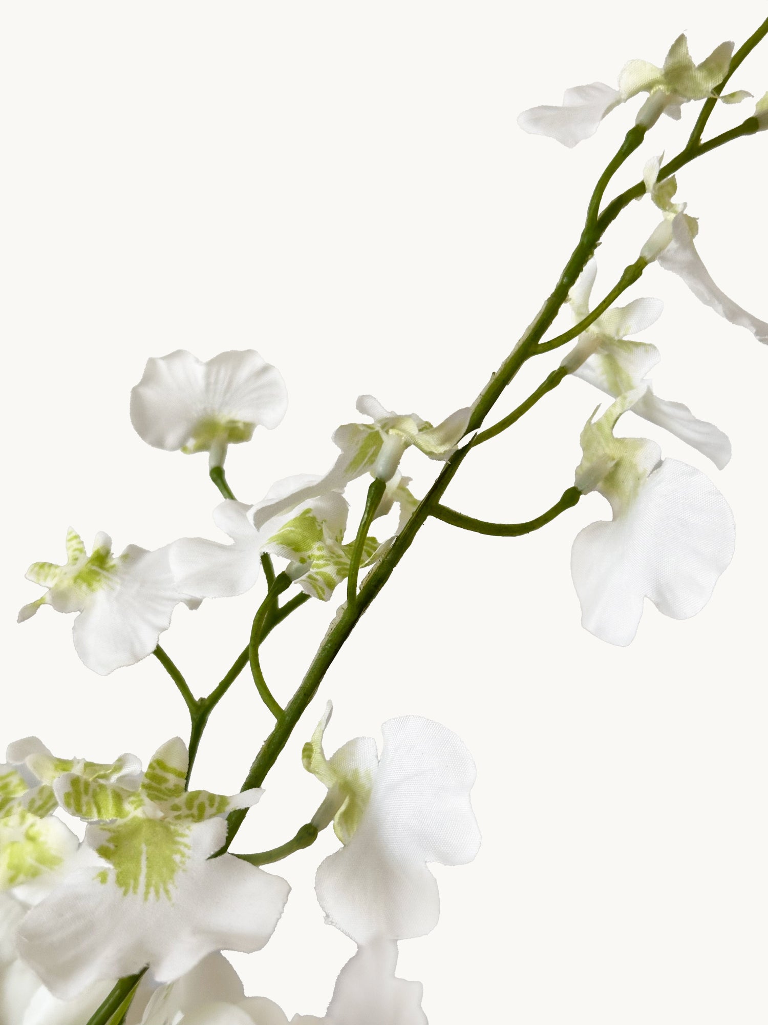 Amaranton - Orquídea danzante realista de 81 cm - Blanca