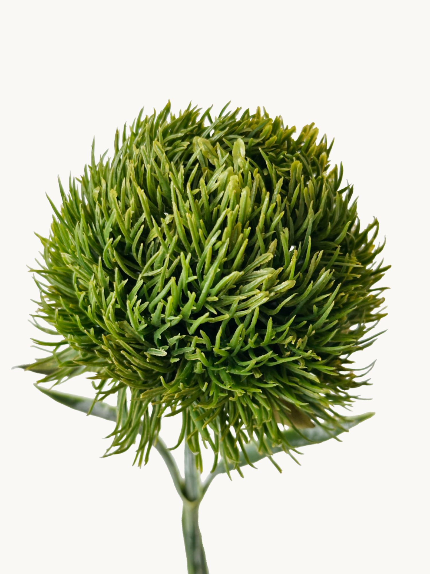 Amaranton 13" Flor de clavel realista - Verde oscuro