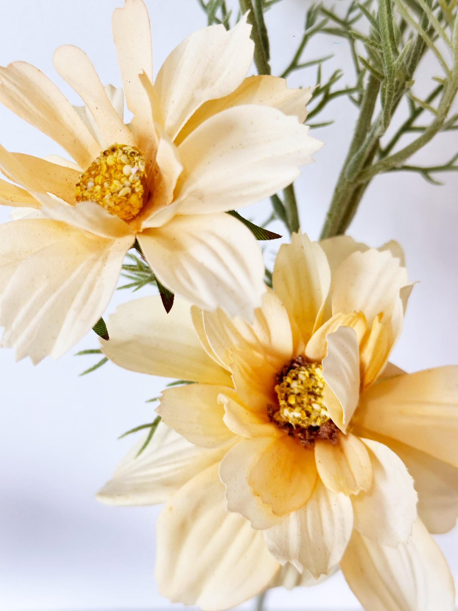 Amaranton 27" Realistic 4 - Bloom Cosmos - Amarillo