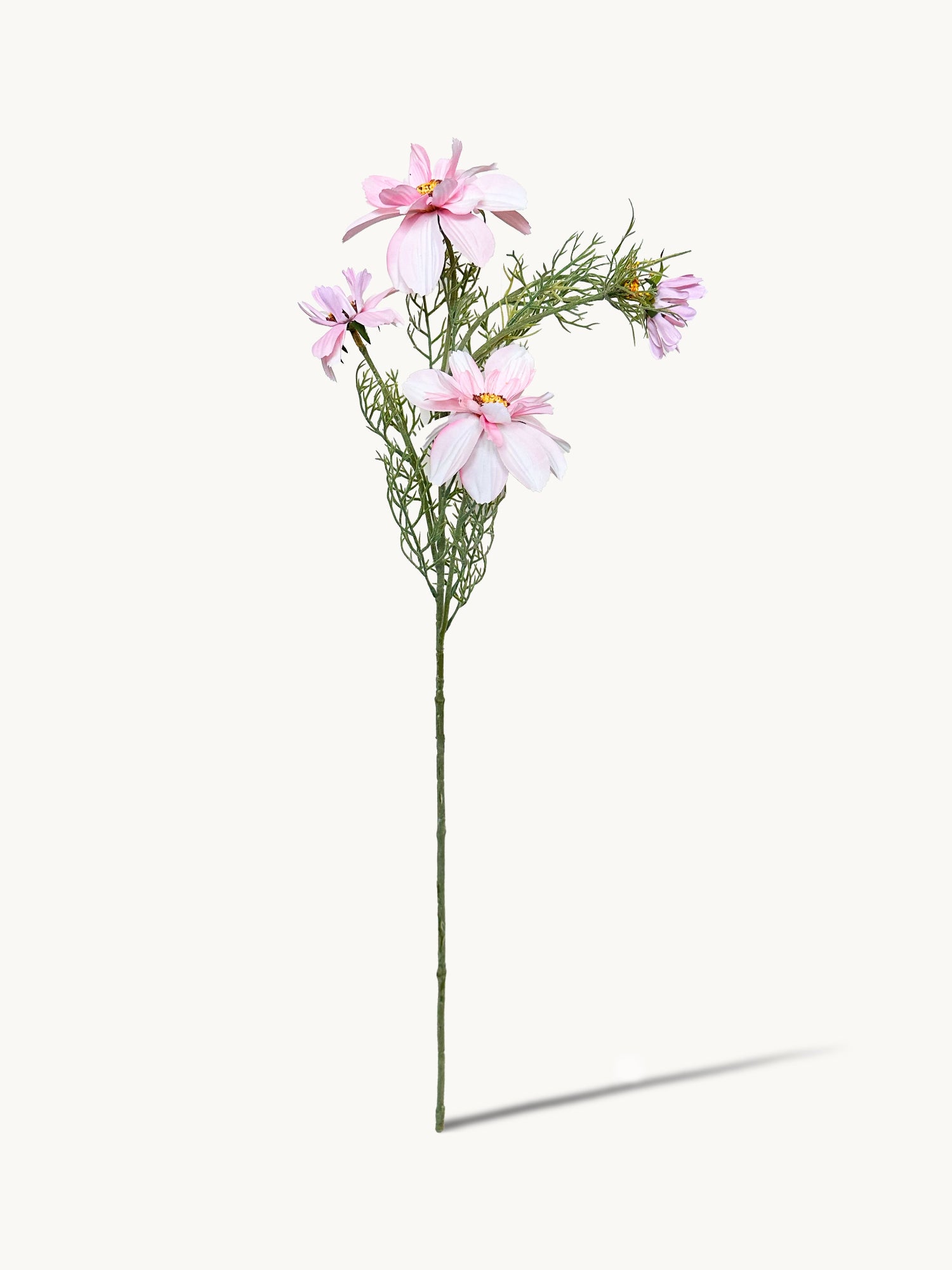 Amaranton 27" Realistic 4 - Bloom Cosmos - Rosa 