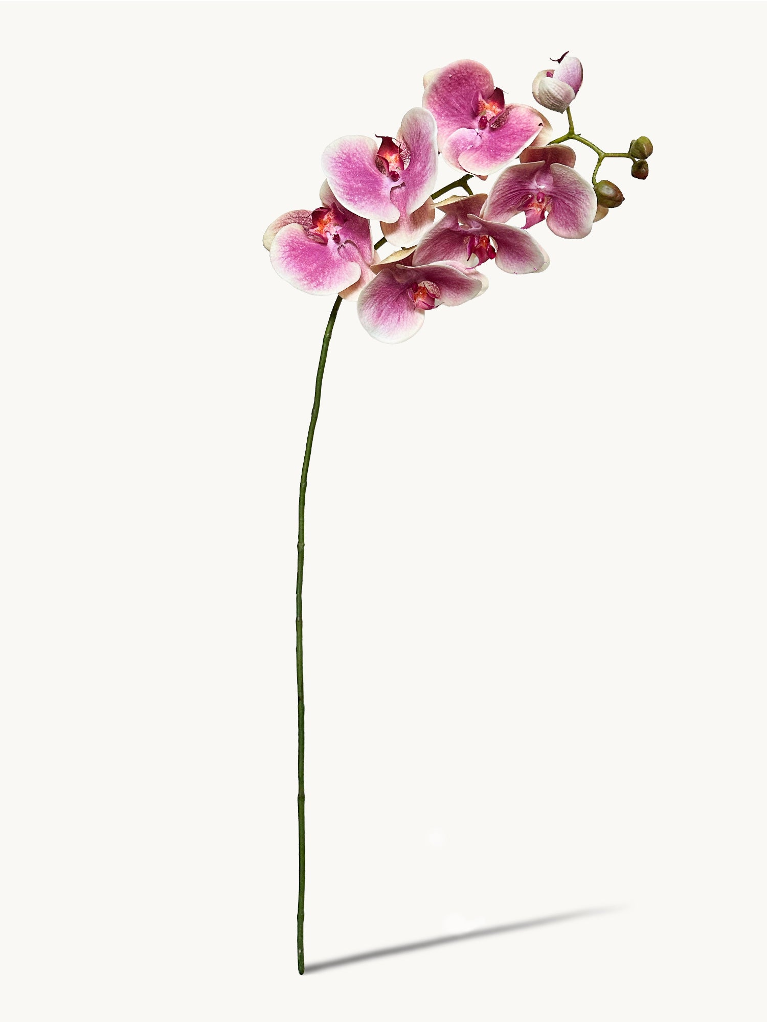 Orquídea polilla Amaranton de 99 cm con tacto real, 6 flores y 1 capullo, color rosa