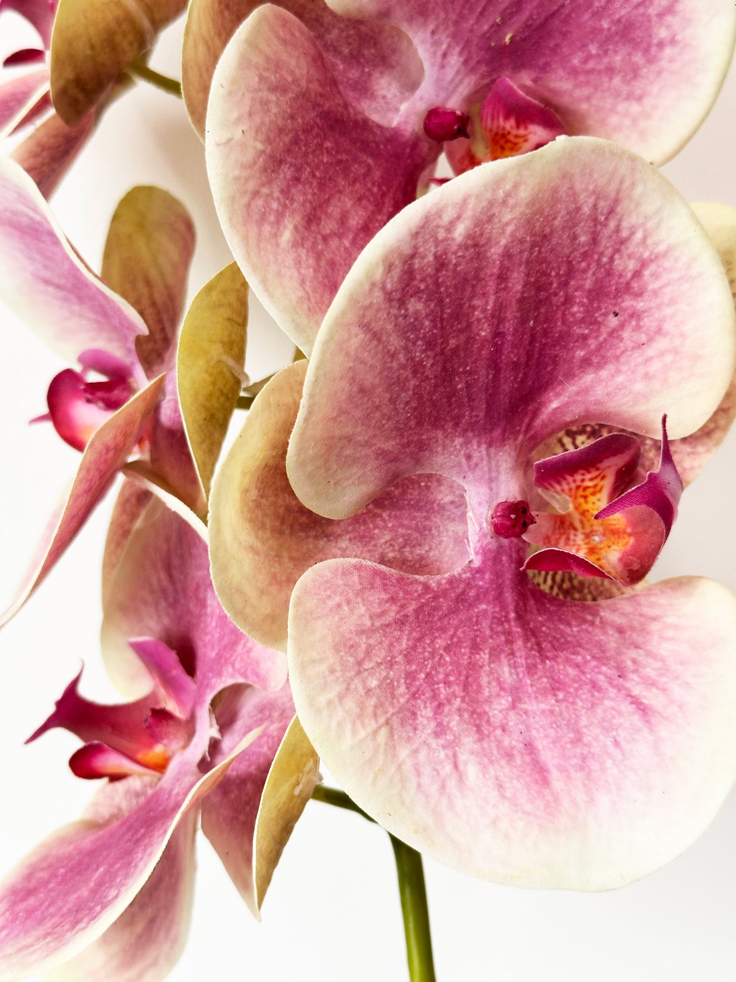 Orquídea polilla Amaranton de 99 cm con tacto real, 6 flores y 1 capullo, color rosa