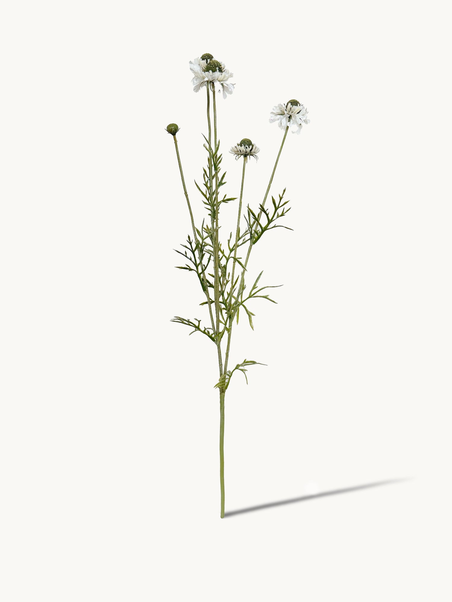 Amaranton™ 29" Realistica™ Scabiosa with 5 Blooms and 1 Bud - White