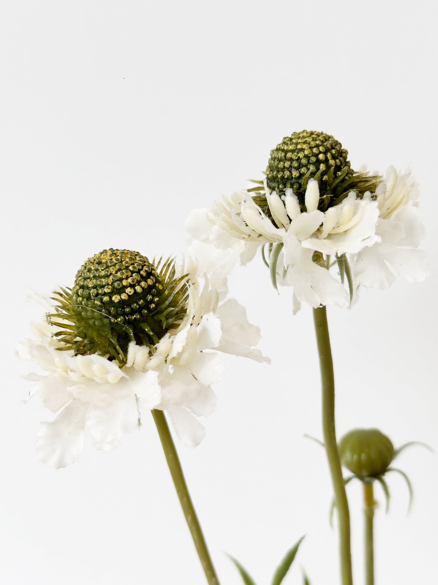 Amaranton™ 29" Realistica™ Scabiosa with 5 Blooms and 1 Bud - White