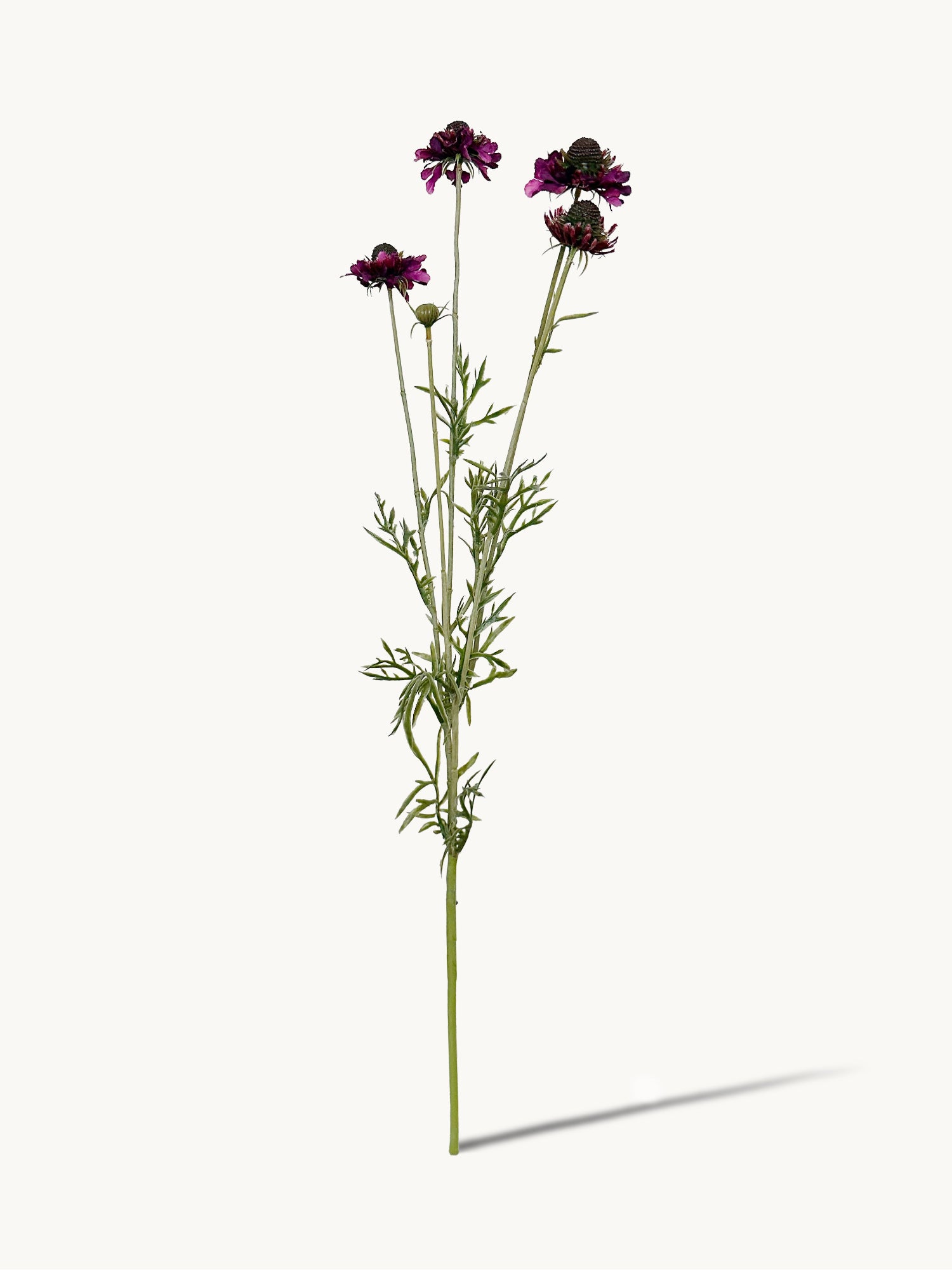 Amaranton™ 29" Realistica™ Scabiosa with 5 Blooms and 1 Bud - Dark Purple