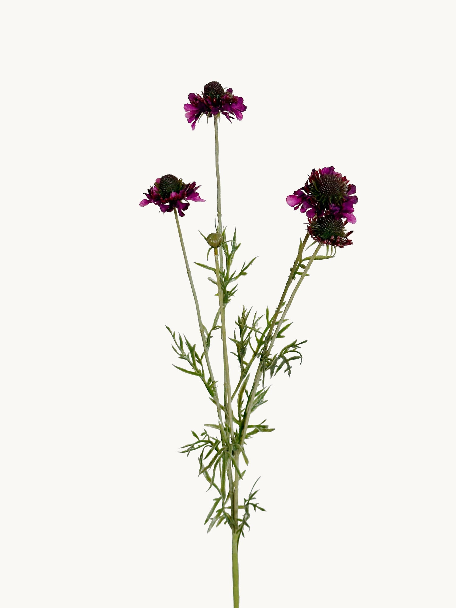 Amaranton™ 29" Realistica™ Scabiosa with 5 Blooms and 1 Bud - Dark Purple
