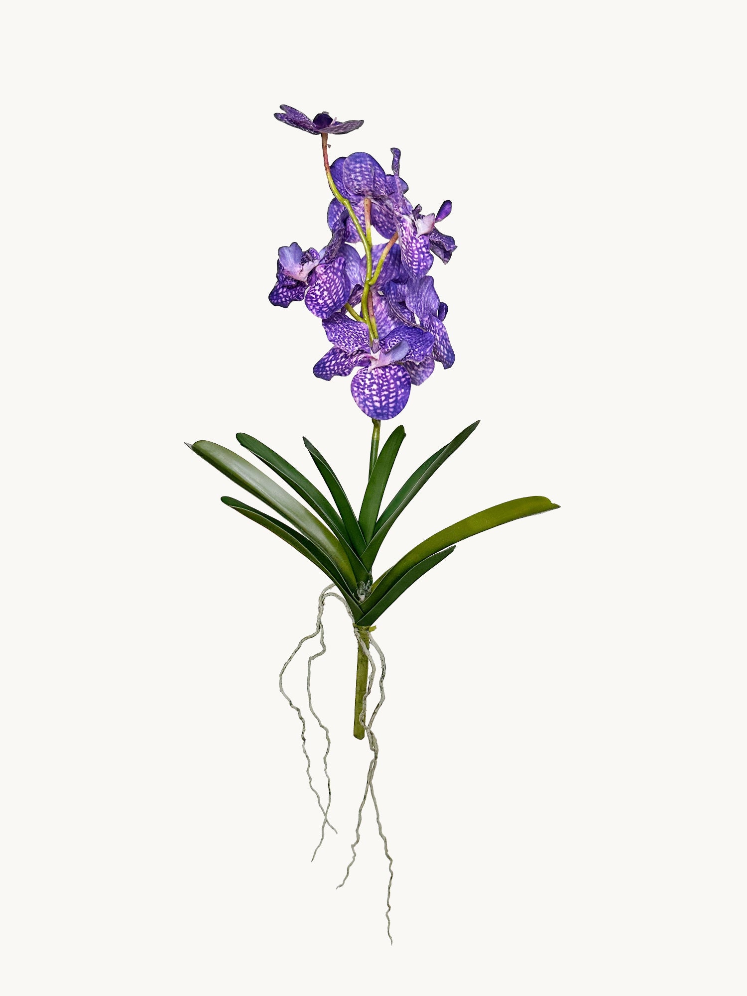 Orquídea Vanda Amaranton de 23" con tacto real y hojas - Violeta