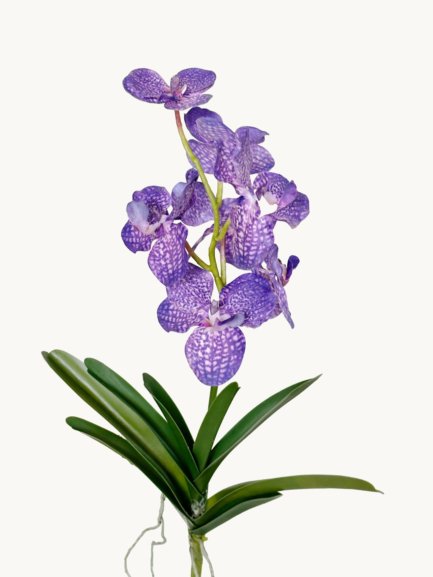 Orquídea Vanda Amaranton de 23" con tacto real y hojas - Violeta