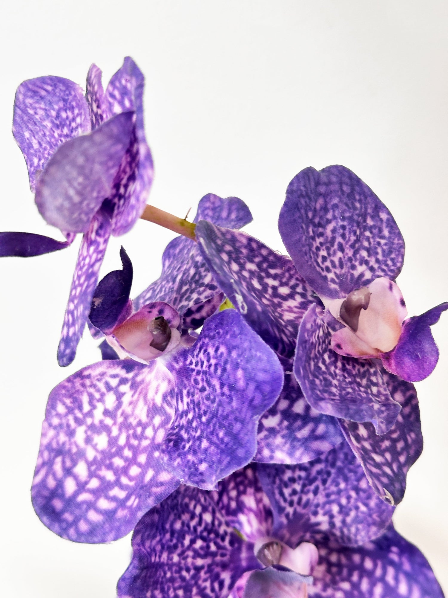 Orquídea Vanda Amaranton de 23" con tacto real y hojas - Violeta