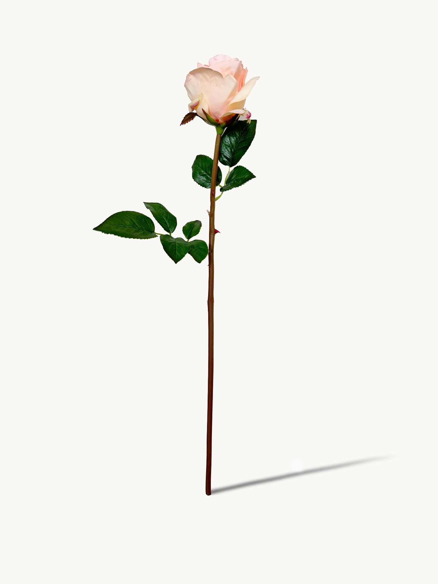 Amaranton 25" Rosa de tacto real - Melocotón